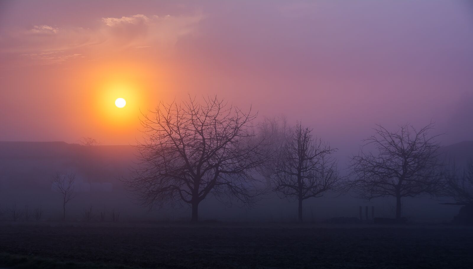 Nikon D7100 sample photo. Sunrise, morning, fog photography