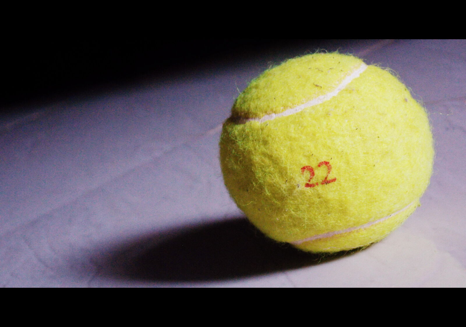 Nikon Coolpix L810 sample photo