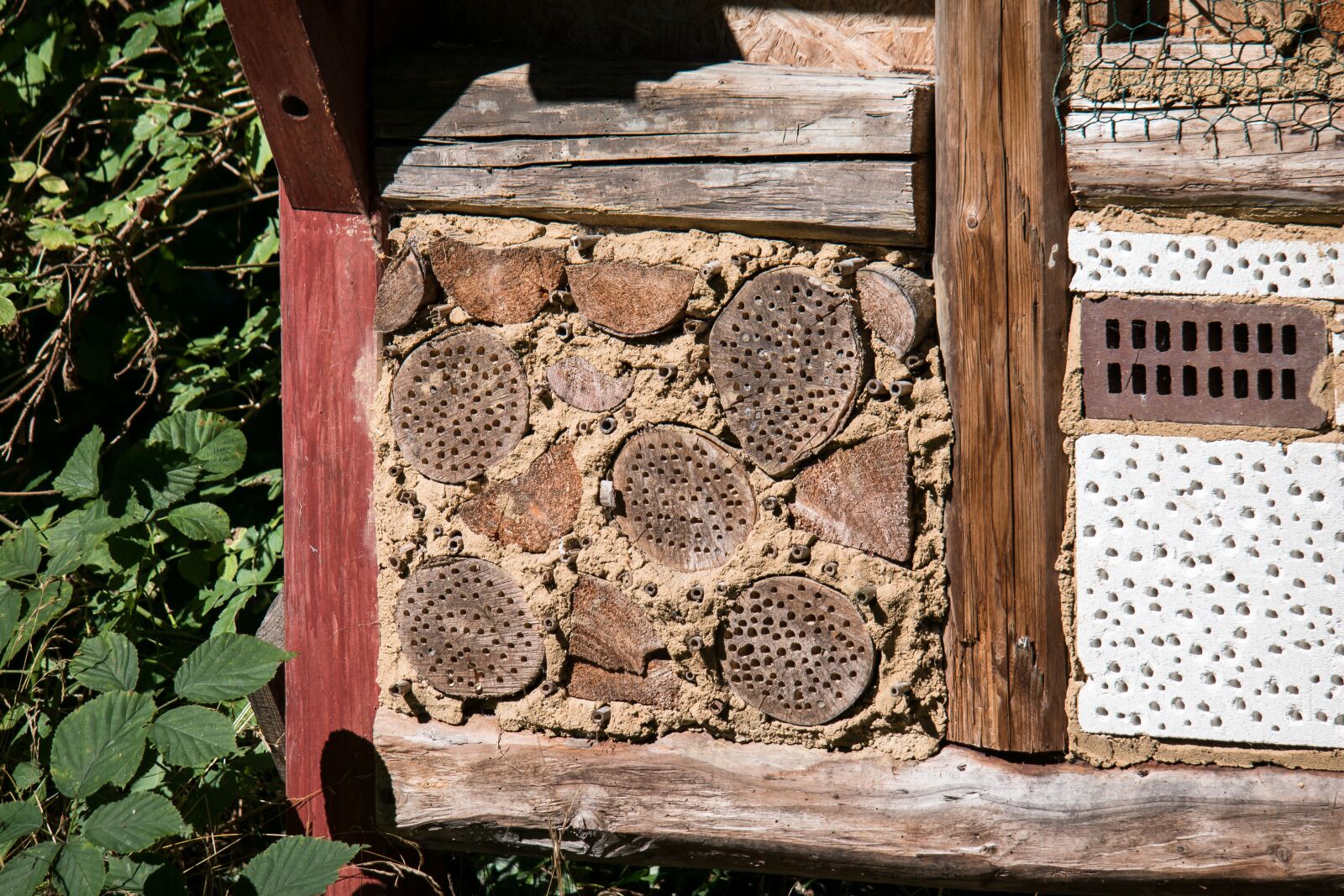 Samsung NX300M + Samsung NX 50-200mm F4-5.6 ED OIS sample photo. Insect hotel, insect, insect photography