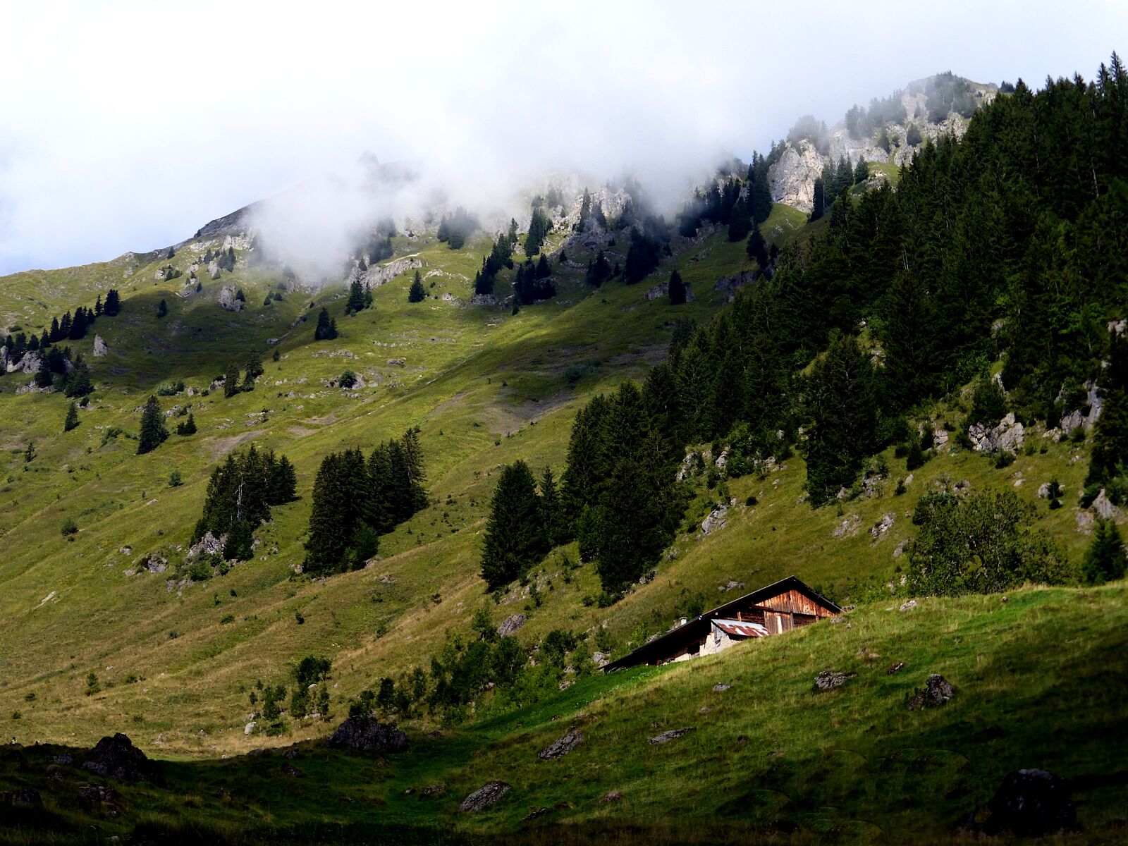 Panasonic Lumix DMC-ZS25 (Lumix DMC-TZ35) sample photo. Nature, alps, mountain photography