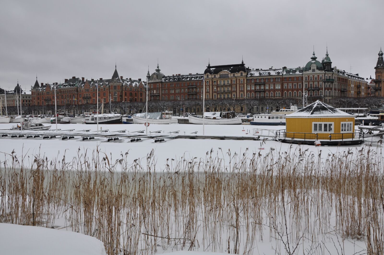Nikon D90 sample photo. Winter, snow, body of photography