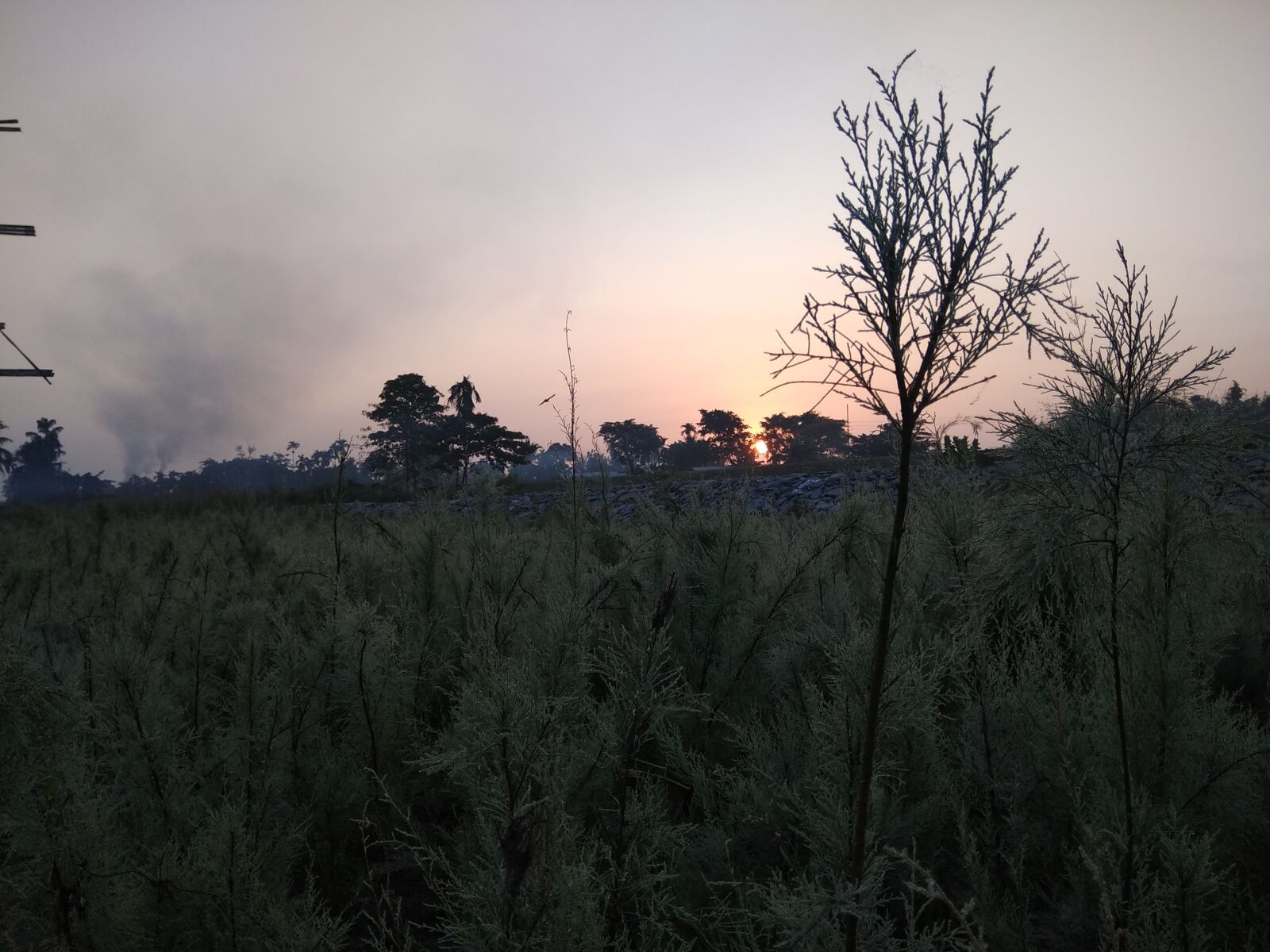 Xiaomi Redmi Note 4 sample photo. Rising sun, morning, hope photography