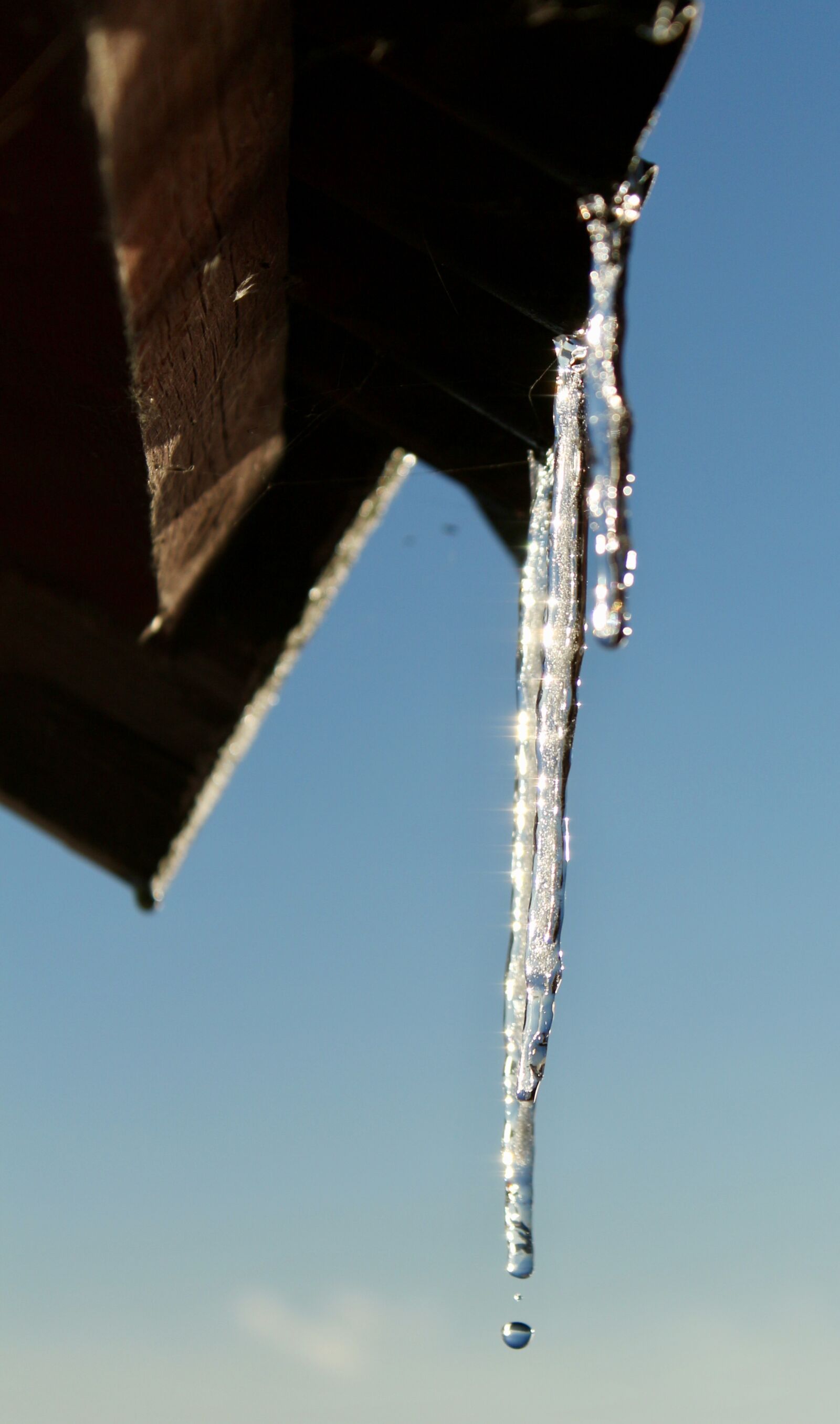 Canon EOS 650D (EOS Rebel T4i / EOS Kiss X6i) sample photo. Winter, ice, two photography