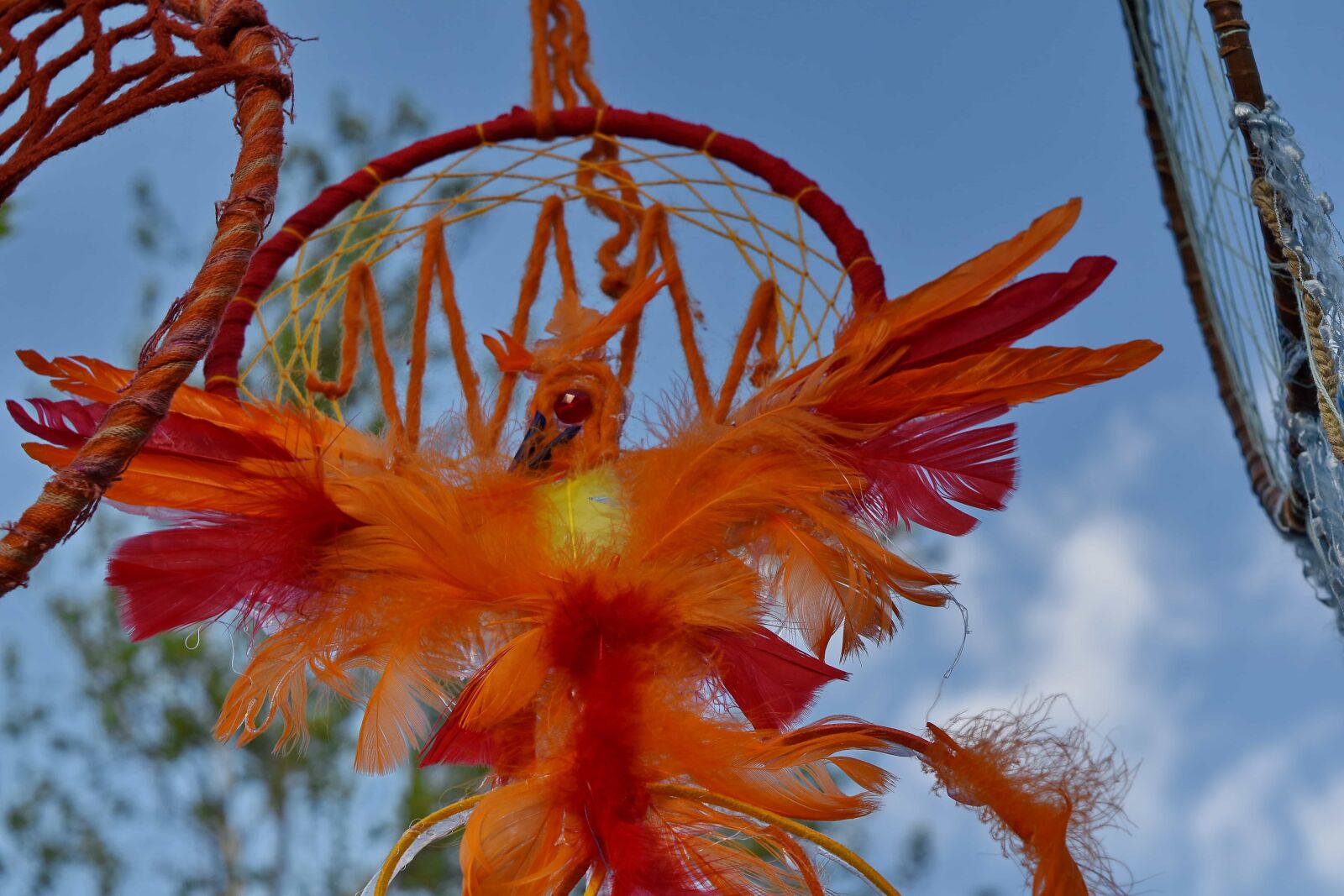 Nikon D5500 sample photo. Decoration, feather, red, color photography