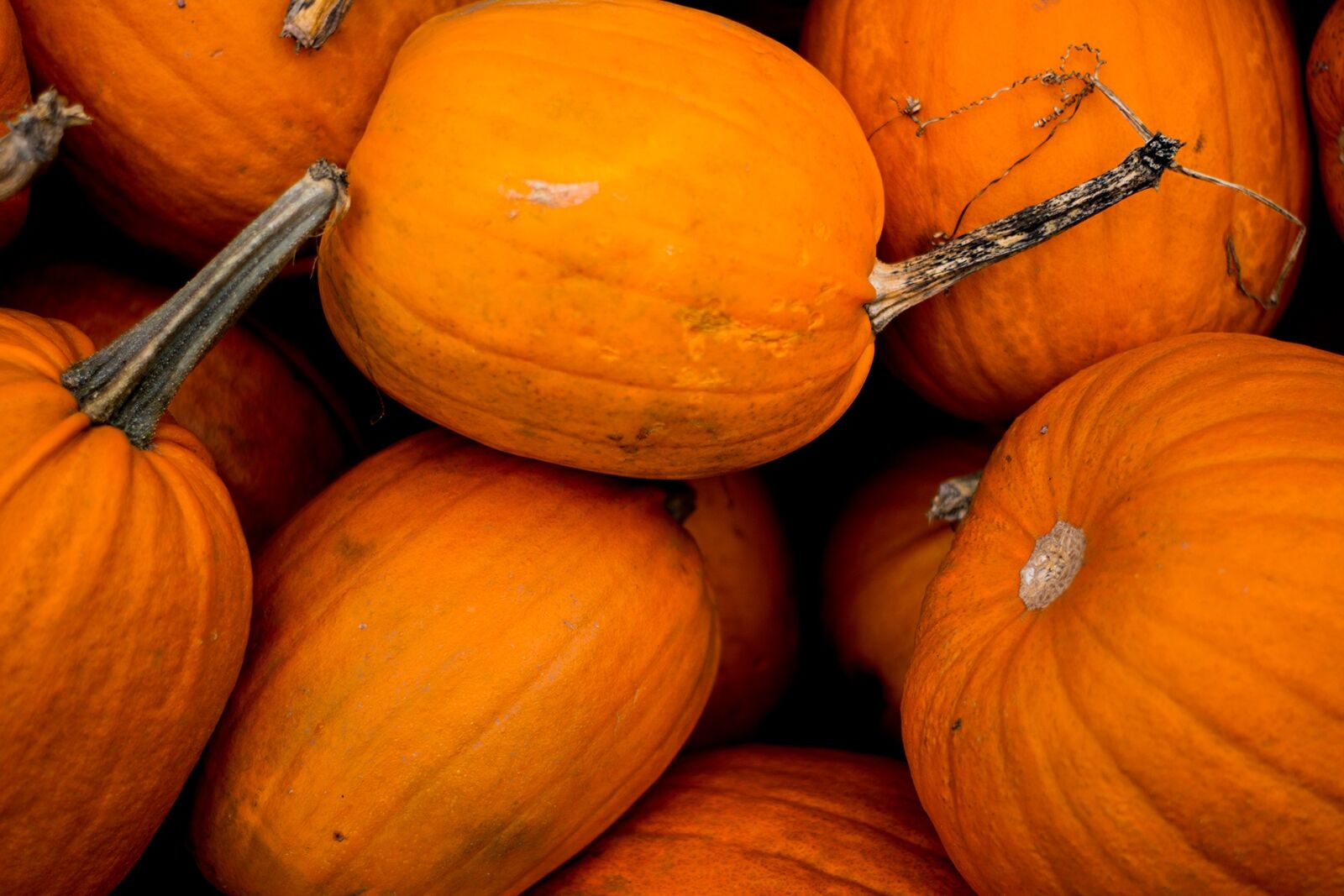 Nikon D7100 sample photo. Halloween, autumn, pumpkin photography