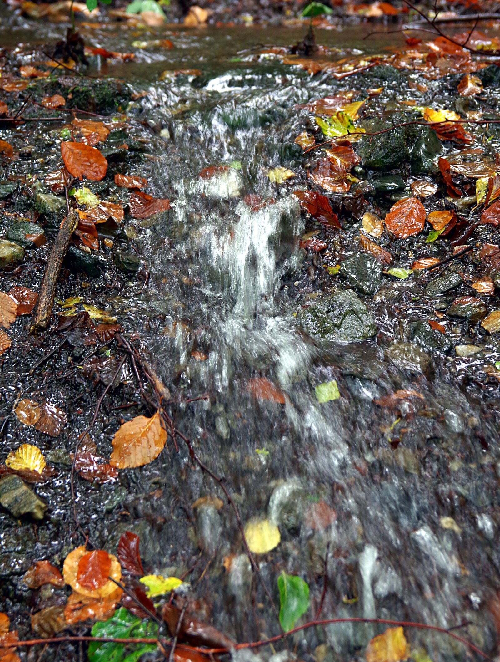 Pentax K-S2 sample photo. Stream, torrent, mountain photography