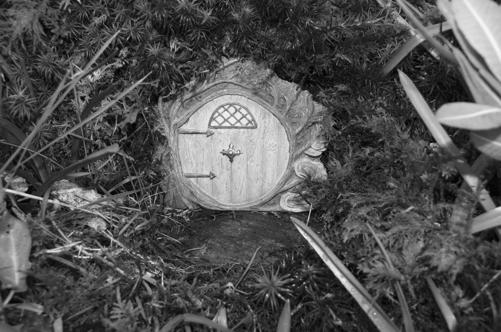 Kodak EasyShare Z981 sample photo. Fairy, door, fairy door photography