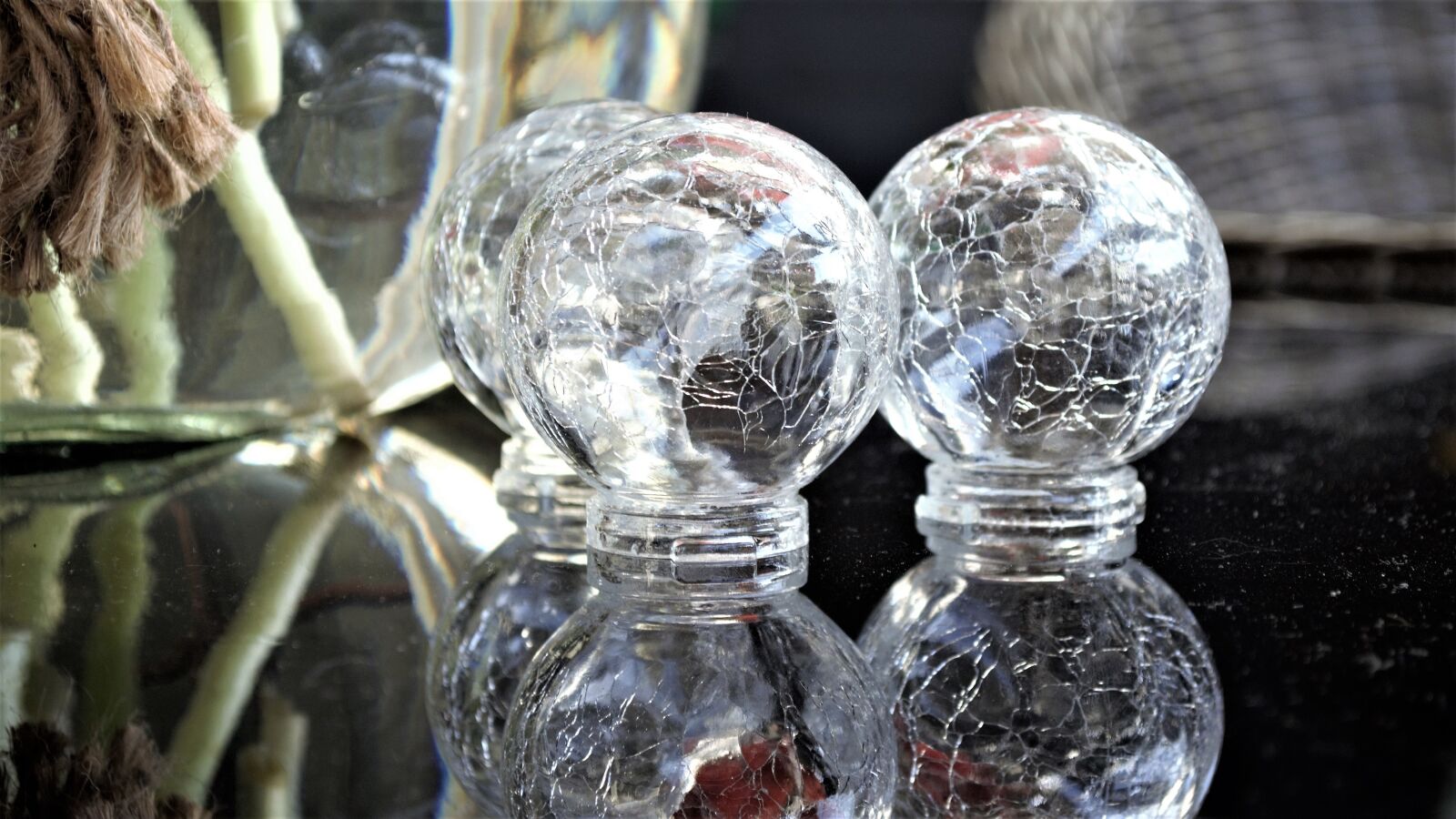 Nikon D5100 sample photo. Ornament, desk bladachtergrond photography
