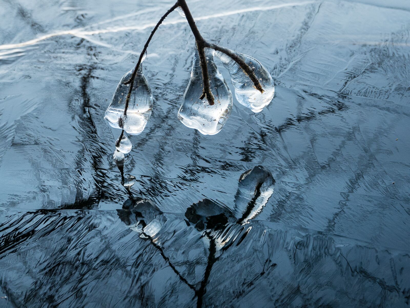 Panasonic Lumix DMC-LX100 sample photo. Ice, icicles, water photography