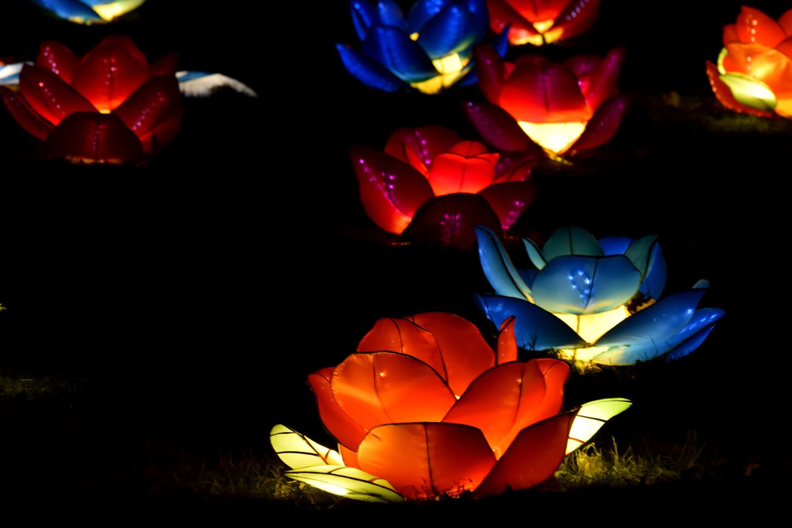 Nikon D5500 sample photo. Artistic, electricity, lamp, midnight photography