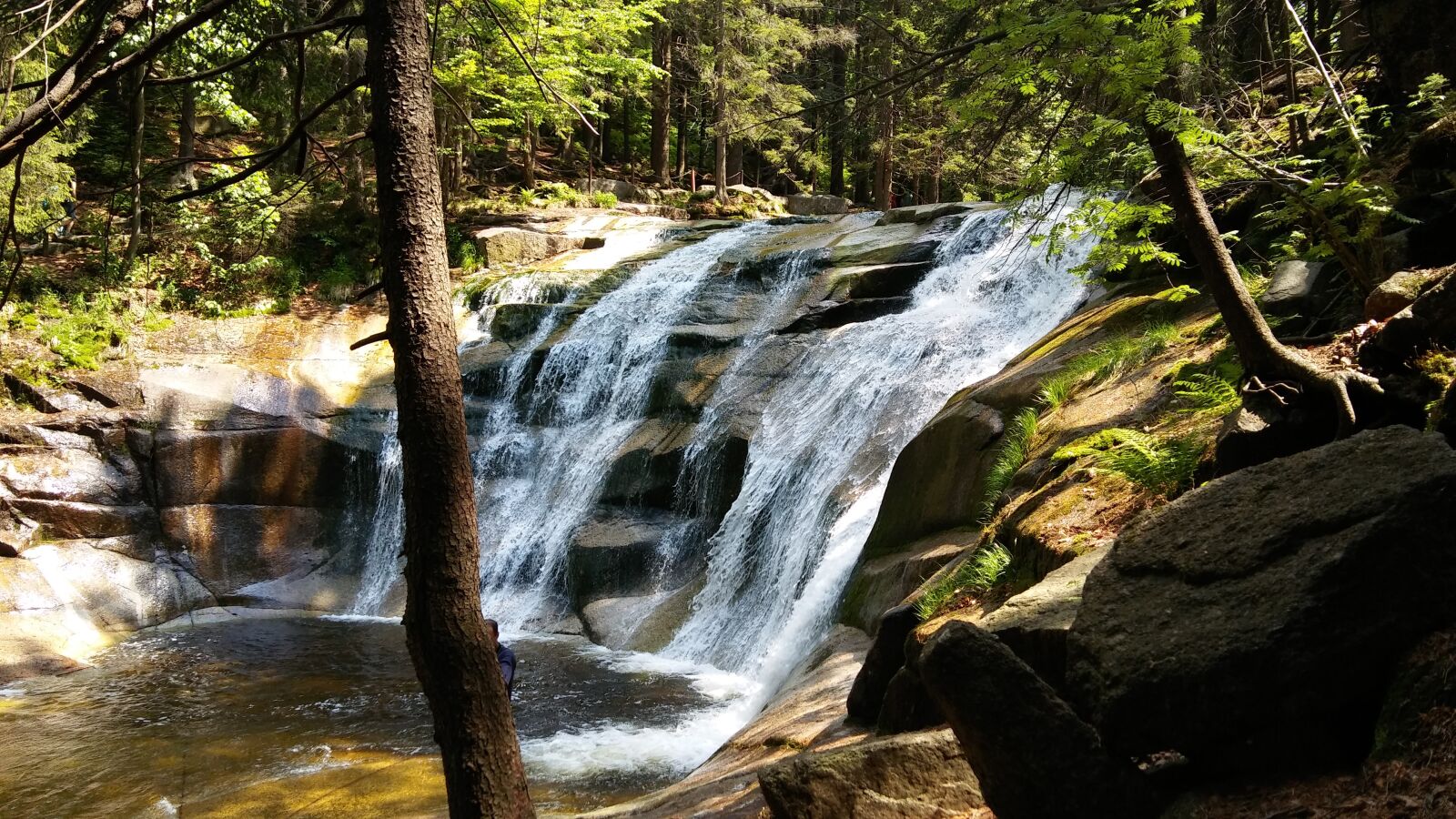 LG K10 sample photo. Forest, waterfall, the giant photography