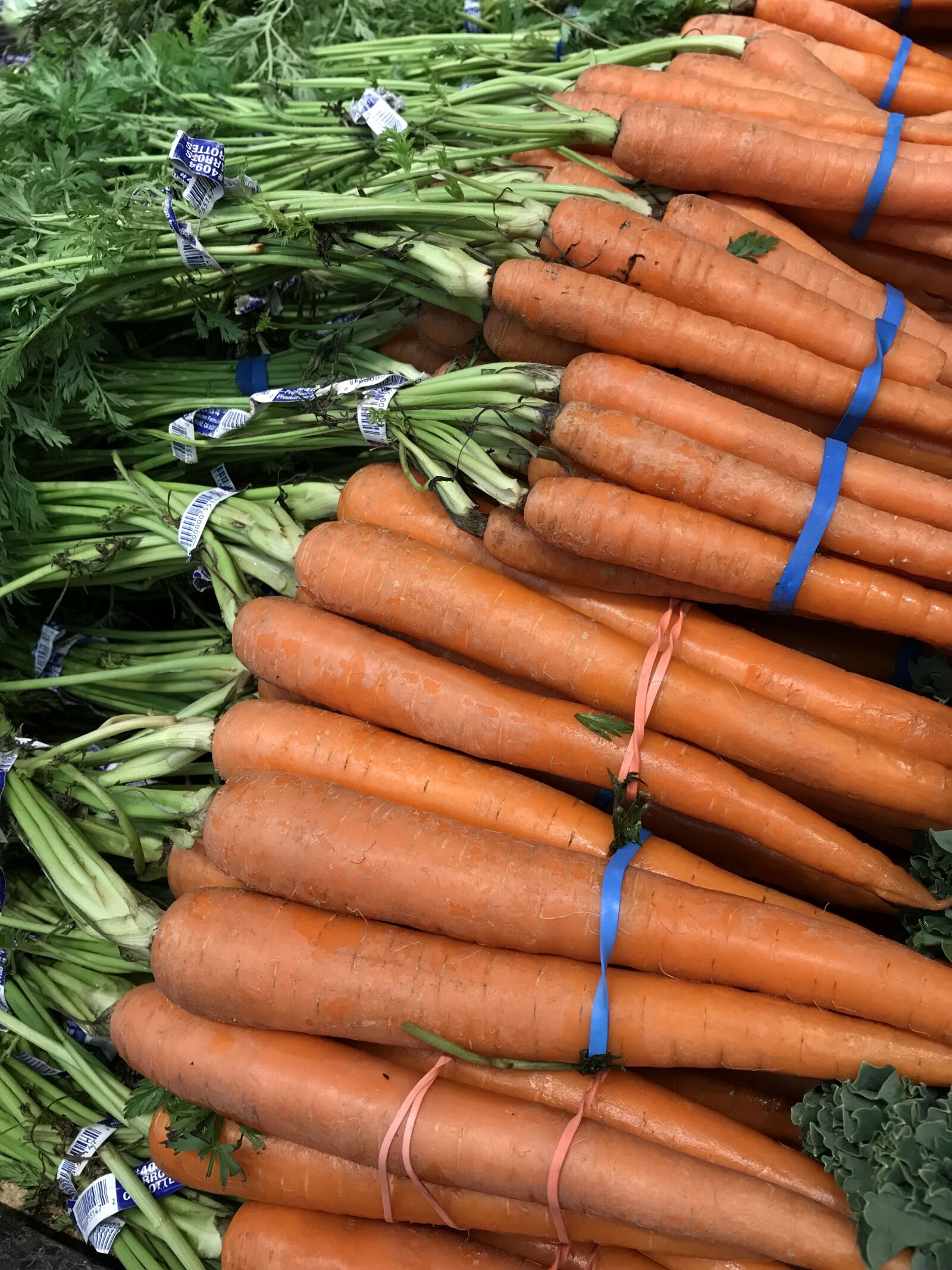 Apple iPhone 7 sample photo. Carrots, vegetables, food photography