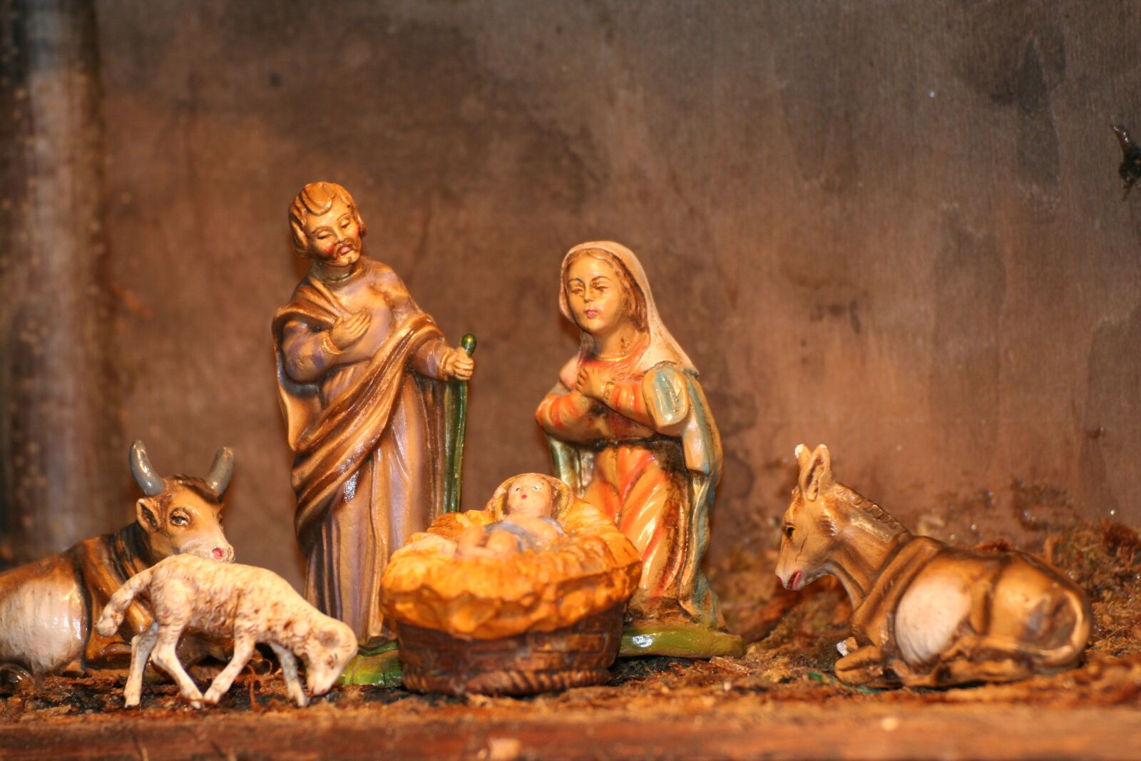 Canon EOS 350D (EOS Digital Rebel XT / EOS Kiss Digital N) sample photo. Crib, christmas, jesus photography