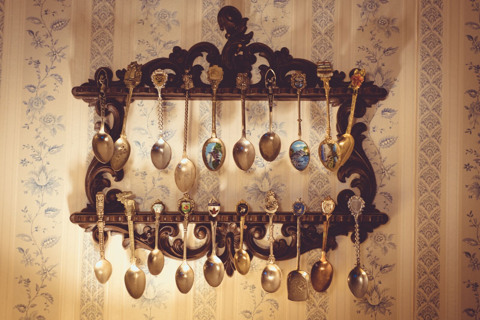 Nikon D750 sample photo. Collection, hanging, metal photography