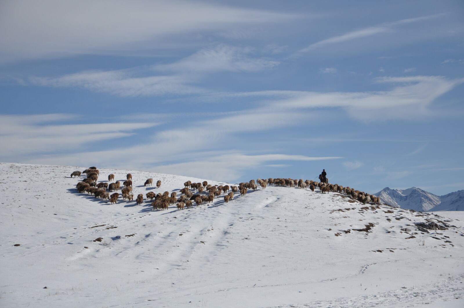 Nikon D90 sample photo. Tianshan, snow, white clouds photography