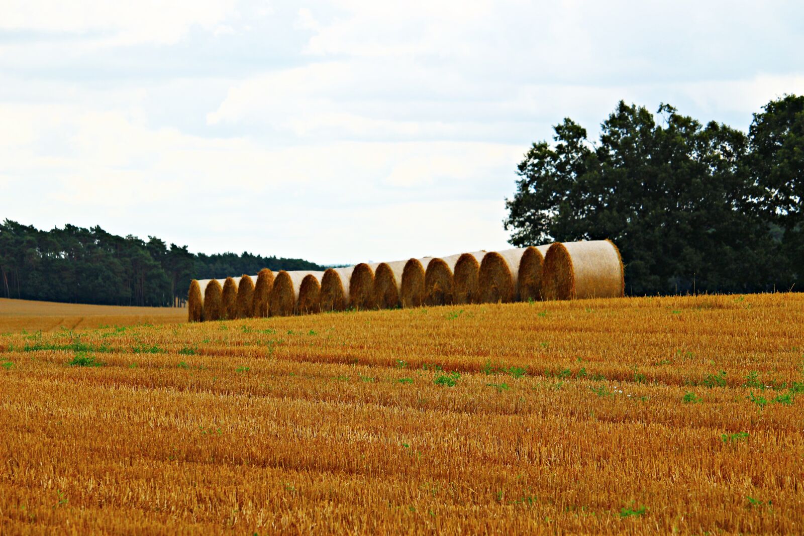 Canon EOS 100D (EOS Rebel SL1 / EOS Kiss X7) sample photo. Straw bales, straw, field photography