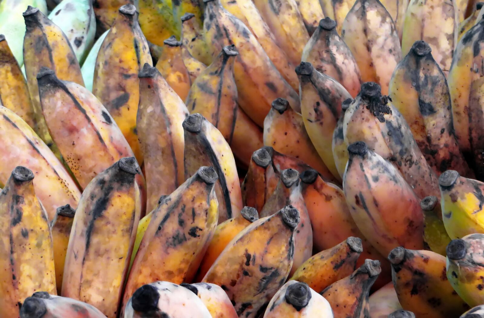 Canon PowerShot SX270 HS sample photo. Laos, market, bananas photography