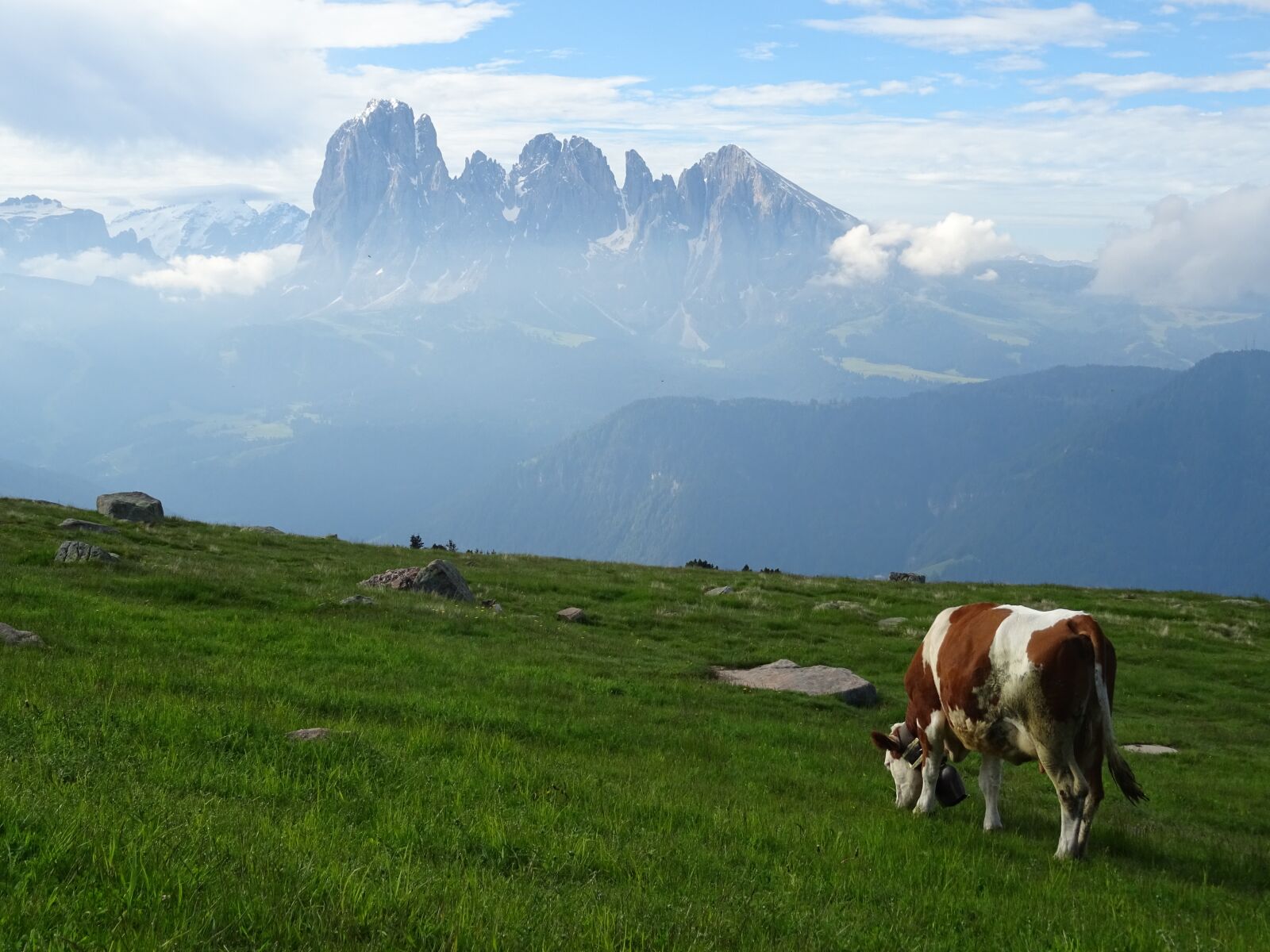 Sony DSC-HX60 sample photo. Dolomites, panorama, cow photography