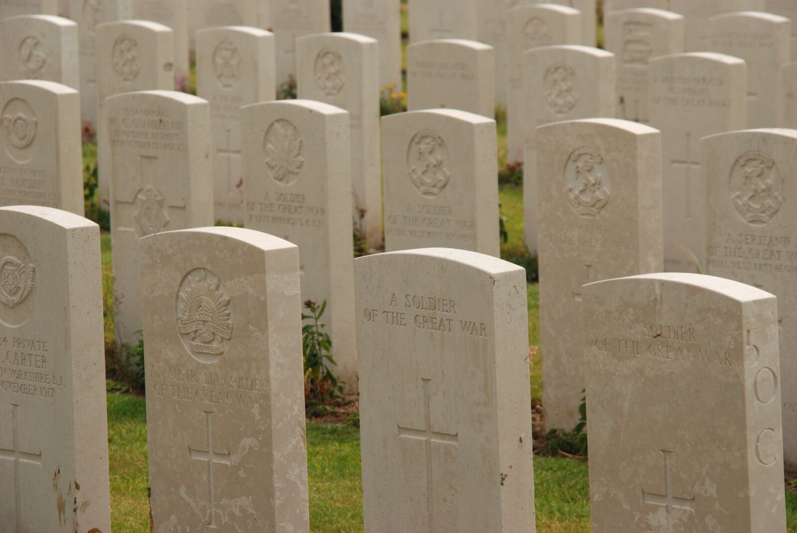 Nikon D80 sample photo. Belgium, tyne cot, first photography