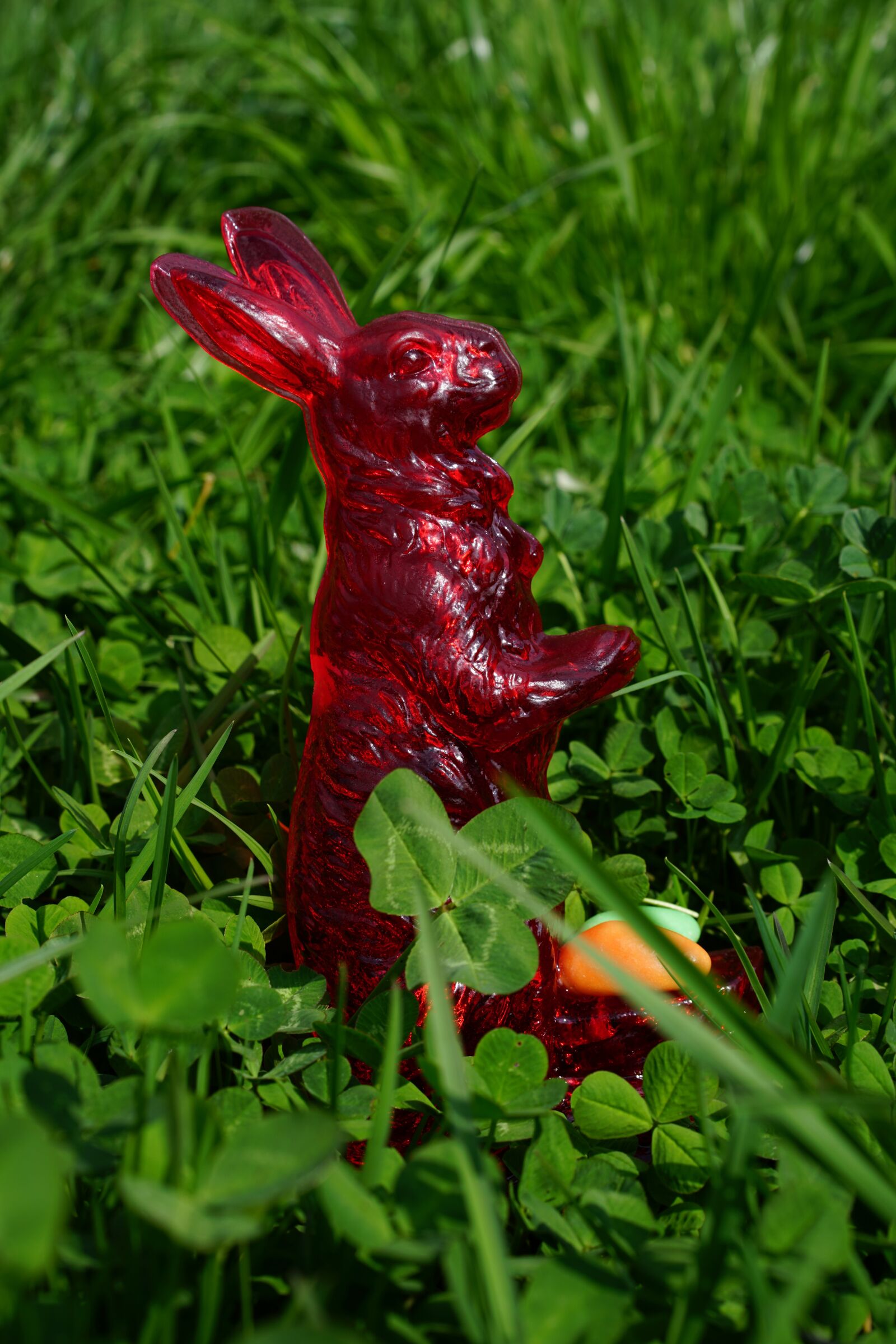 Sony Sonnar T* FE 55mm F1.8 ZA sample photo. Easter bunny, sugar bunny photography