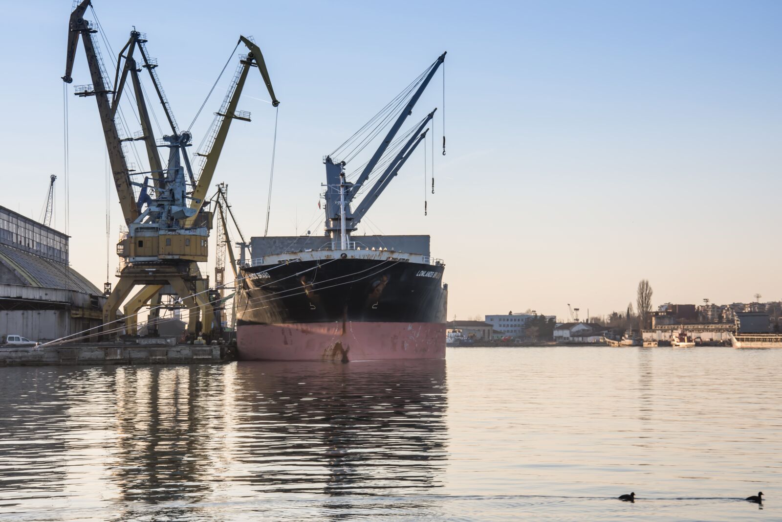 Nikon D7200 sample photo. Port, loading, discharging photography