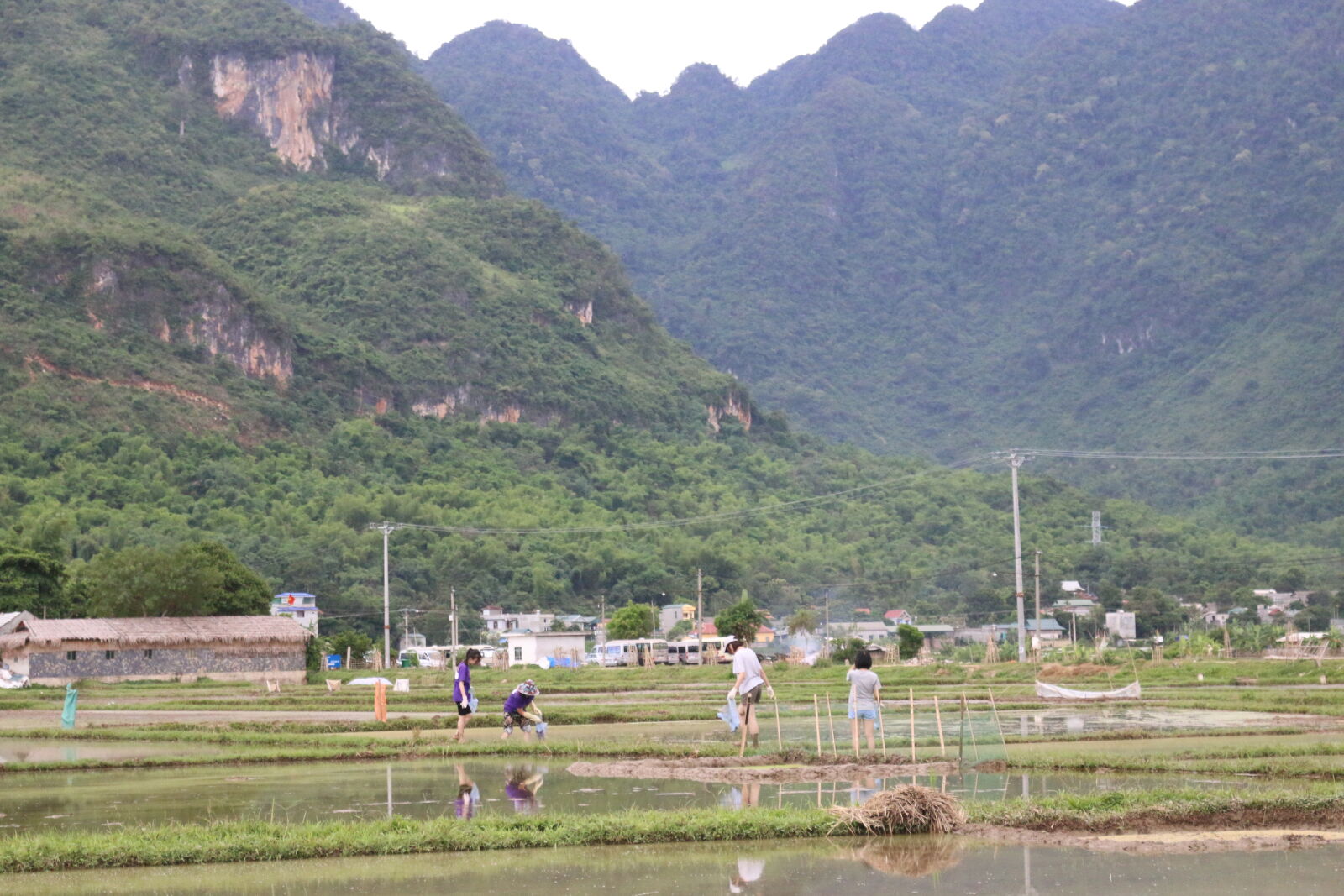 Canon EOS 70D sample photo
