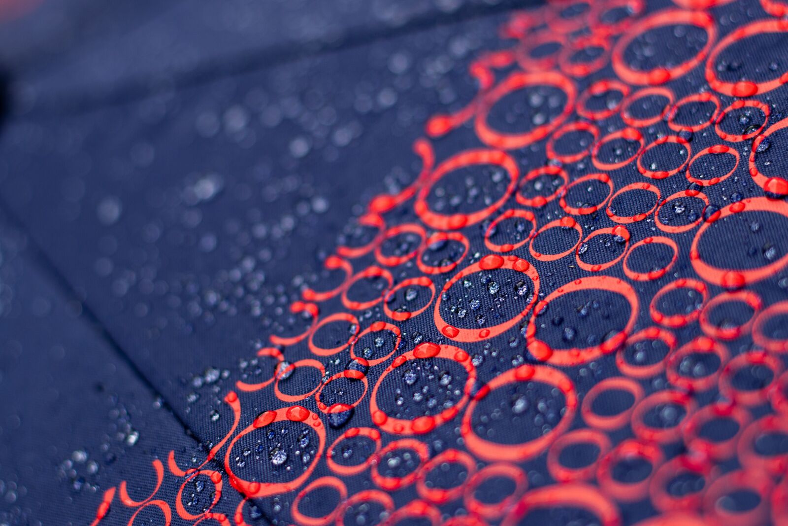 Canon EF 50mm F1.8 STM sample photo. Umbrella, rain, drops photography