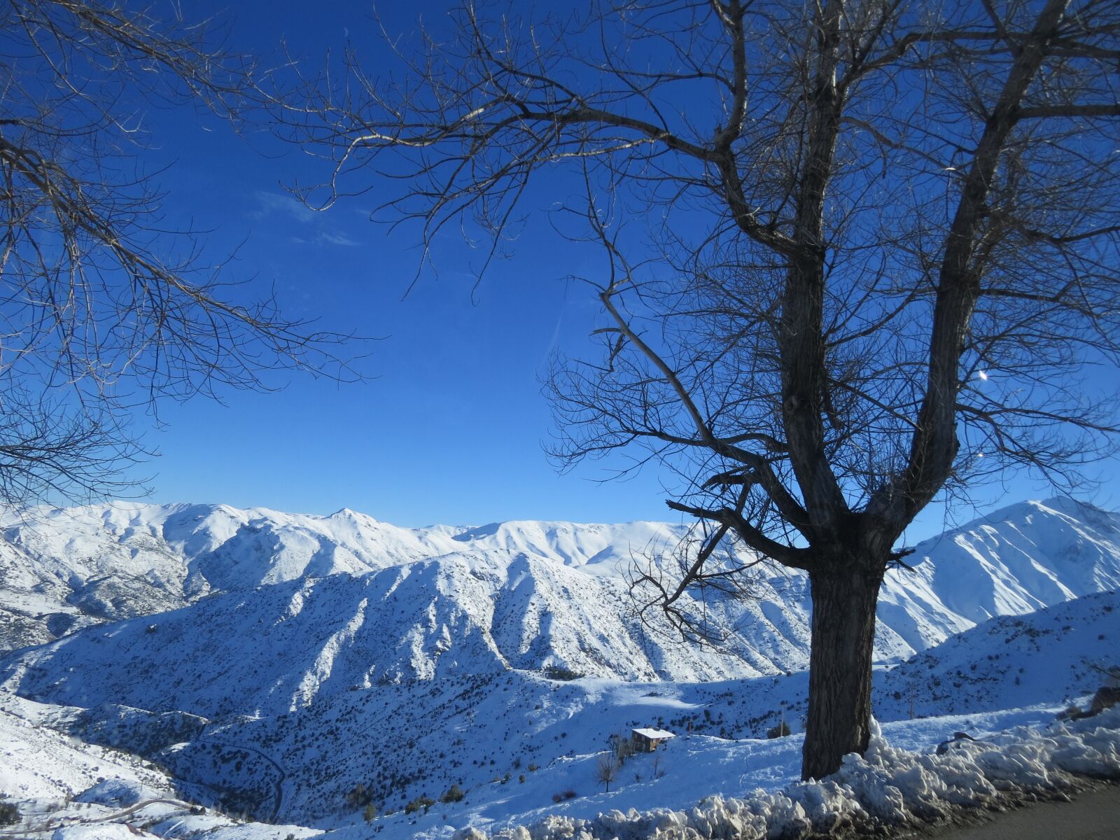 Canon PowerShot SX50 HS sample photo. Snow, blue, ceu photography