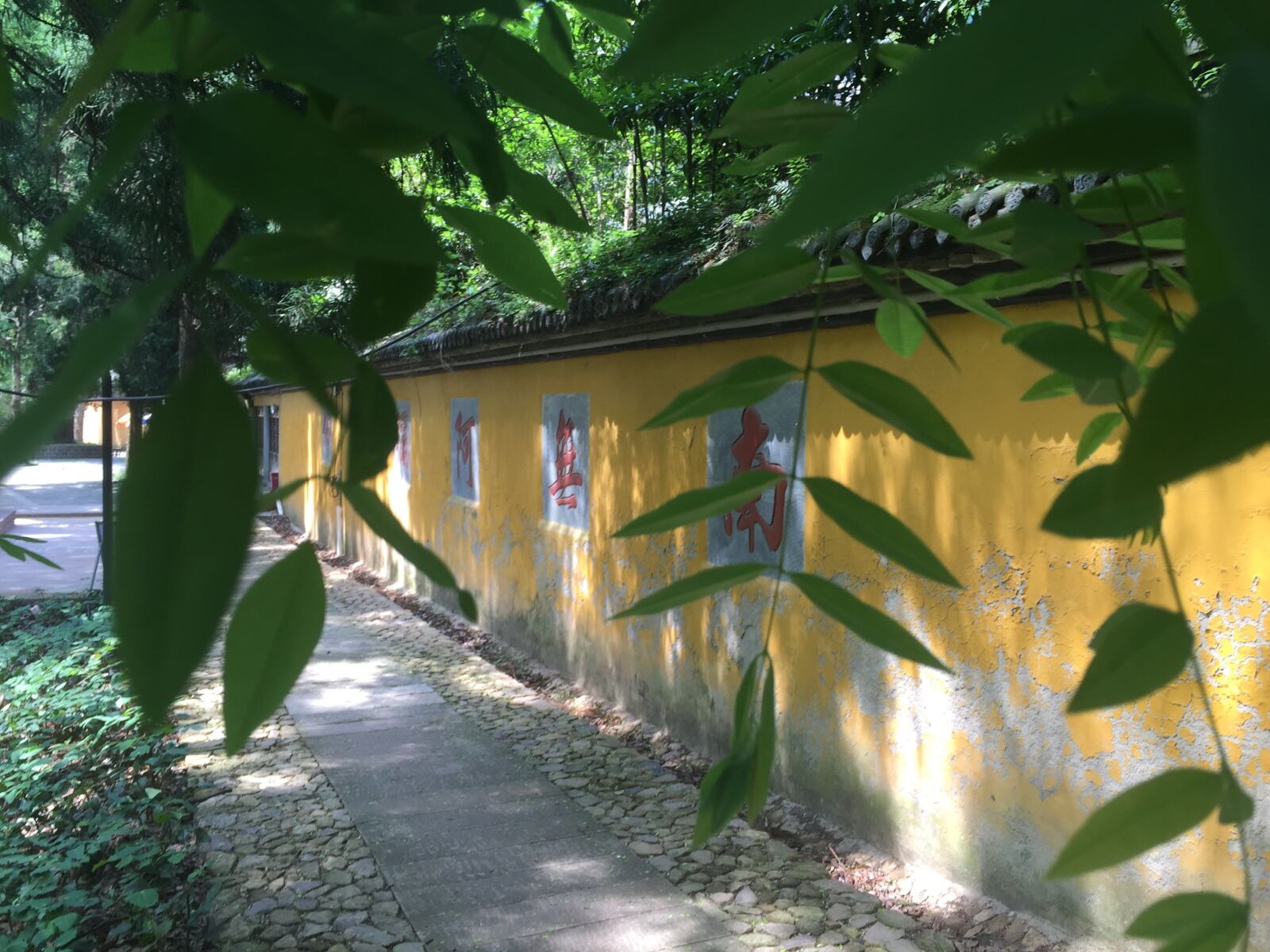 iPhone 6 back camera 4.15mm f/2.2 sample photo. Buddhism, enclosing, wall, leaf photography