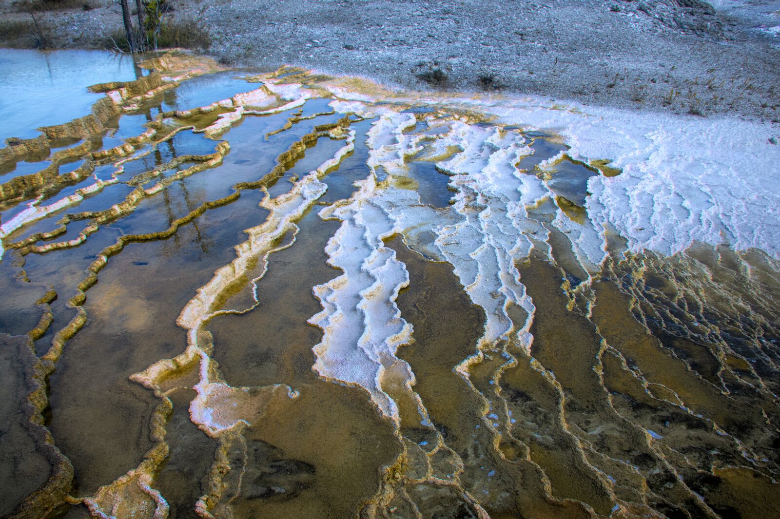 Nikon D850 sample photo. Yellowstone, thermals, park photography