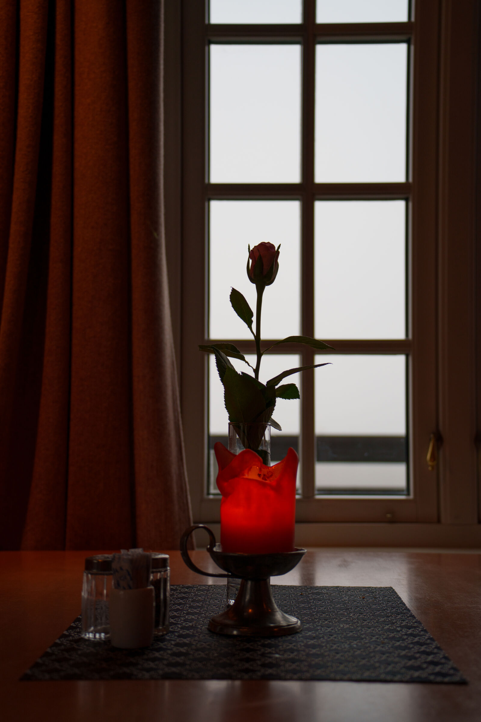 Sony a7R V sample photo. Flower on the table photography