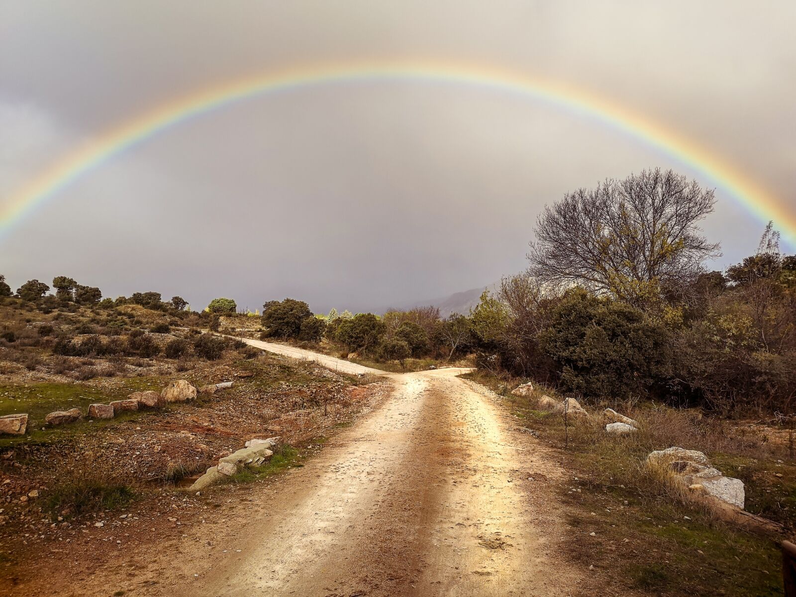 HUAWEI CLT-L09 sample photo. Rainbow, path, horizon photography