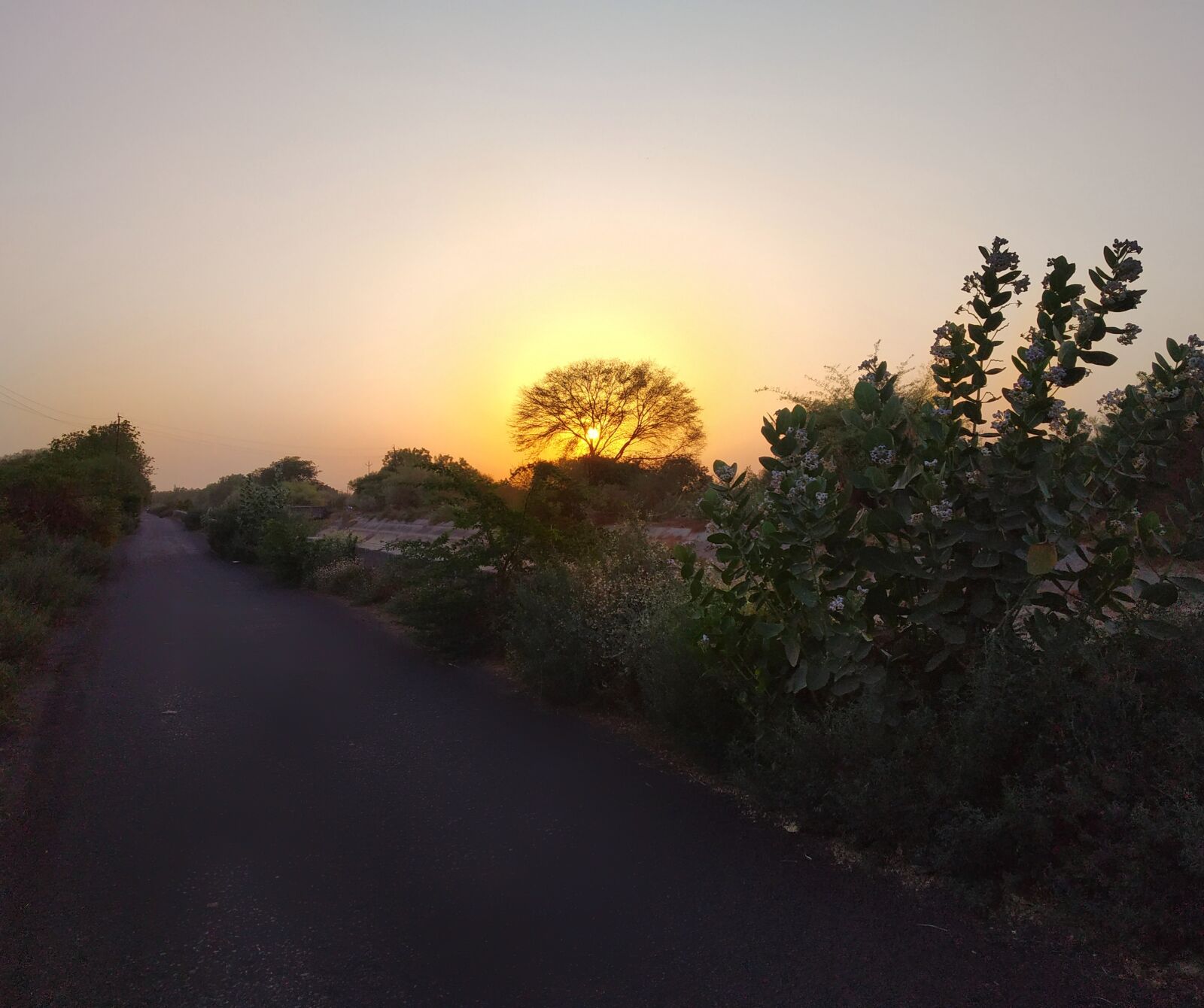 Xiaomi Redmi Note 5 Pro sample photo. Sunset, long drive, beautiful photography