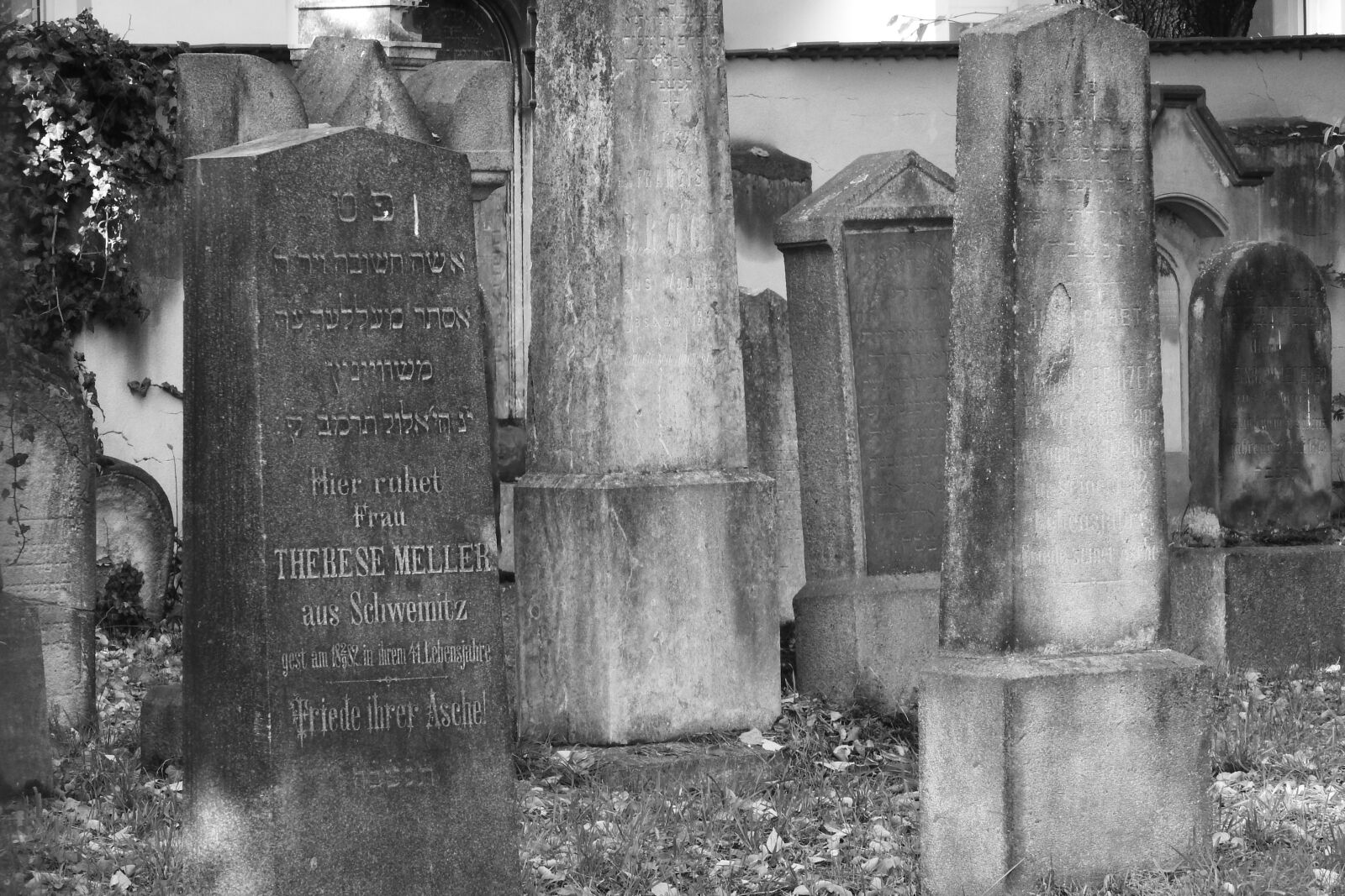 Nikon Coolpix P610 sample photo. Jewish cemetery, cemetery, tombstone photography