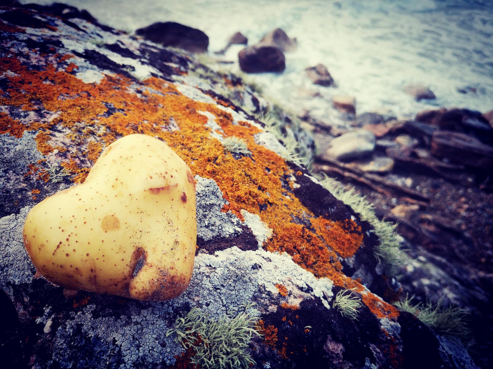 HUAWEI P20 sample photo. Heart, potato, beach photography