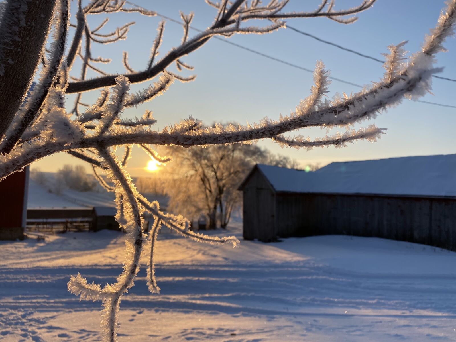 Apple iPhone 11 Pro sample photo. Winter, ice, farm photography
