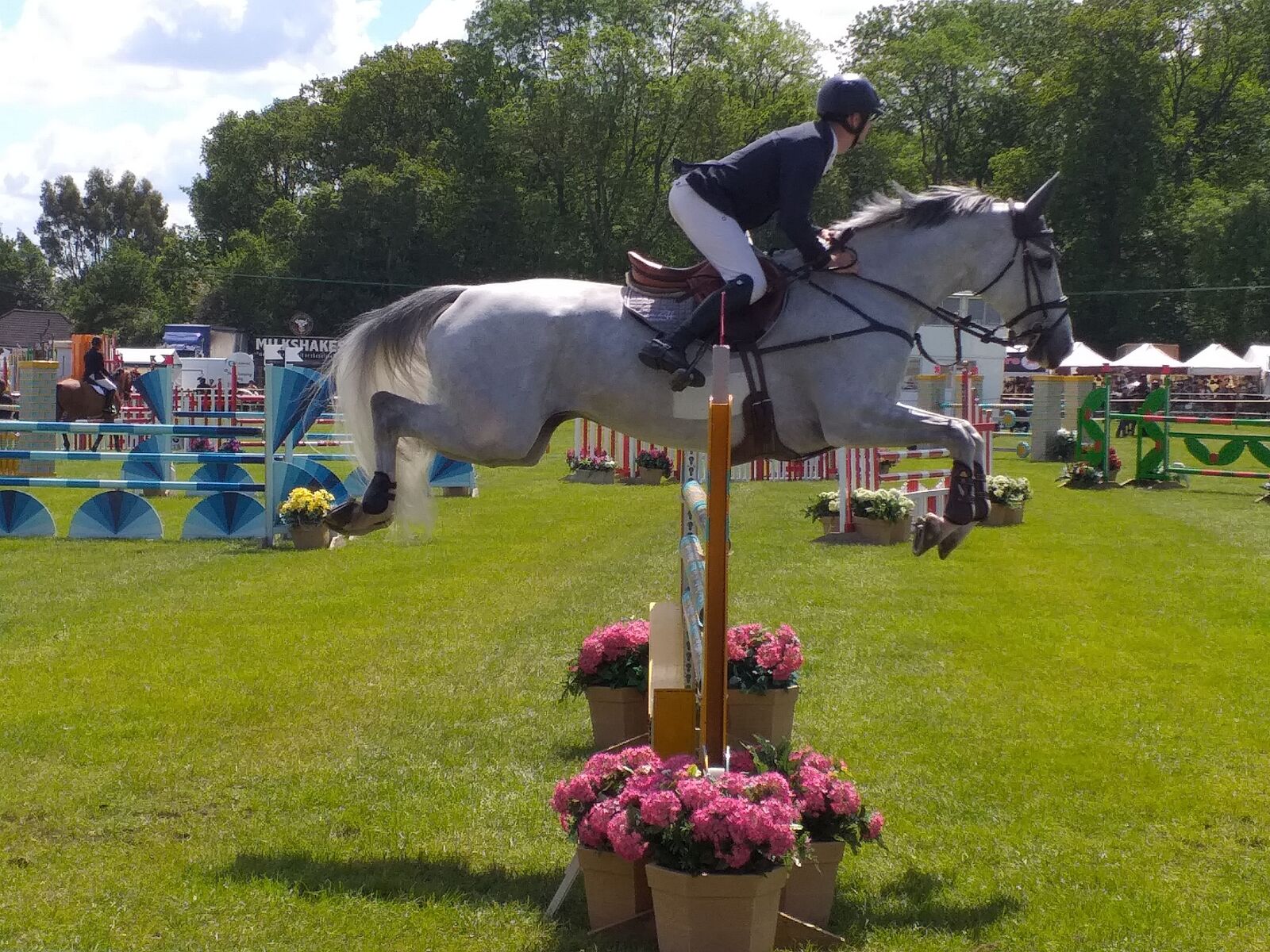 Samsung Galaxy J4+ sample photo. Horse, horse jumping, showjumping photography