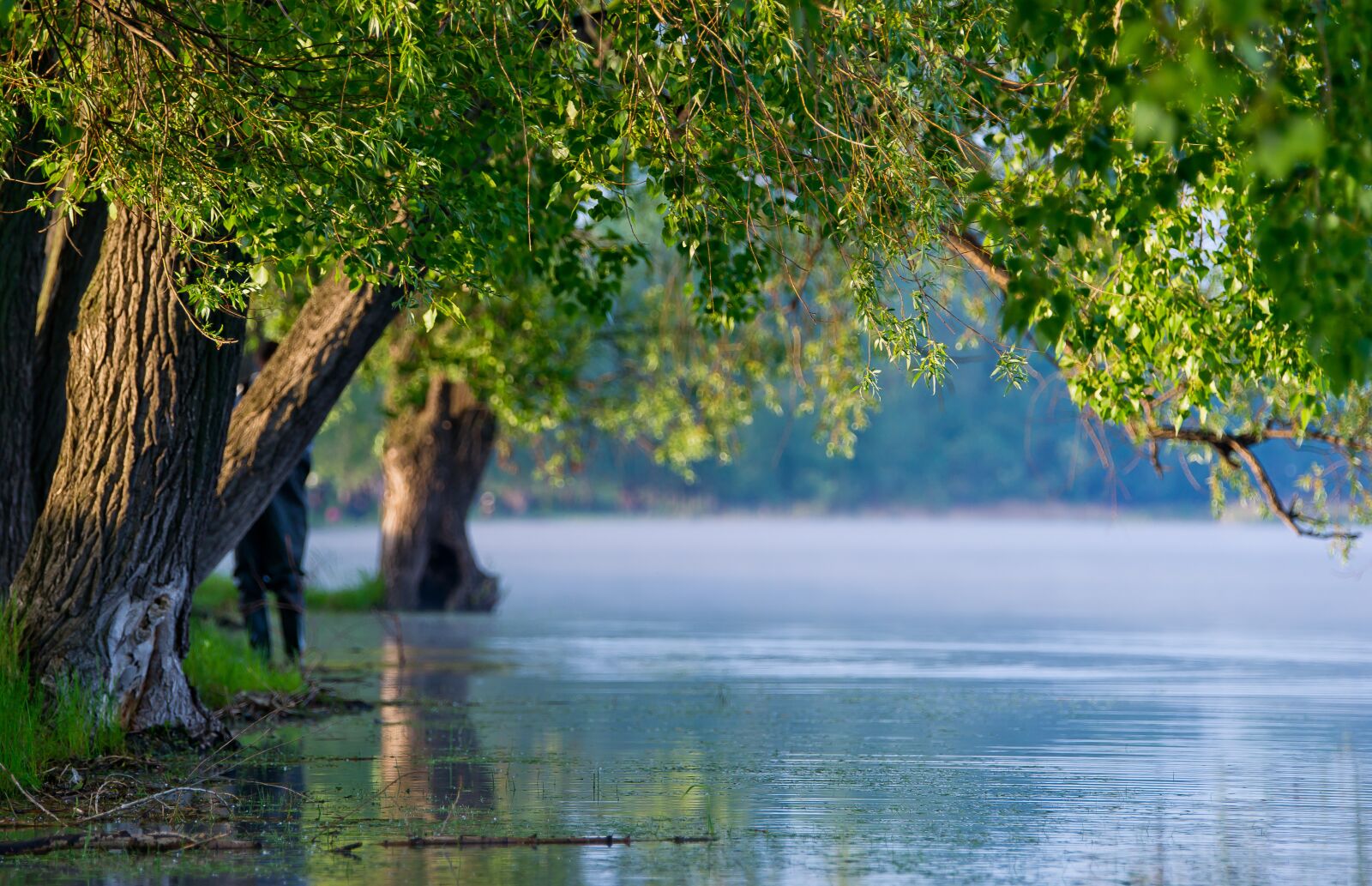 70-400mm F4.0-5.6 G SSM sample photo. Water, nature, green photography
