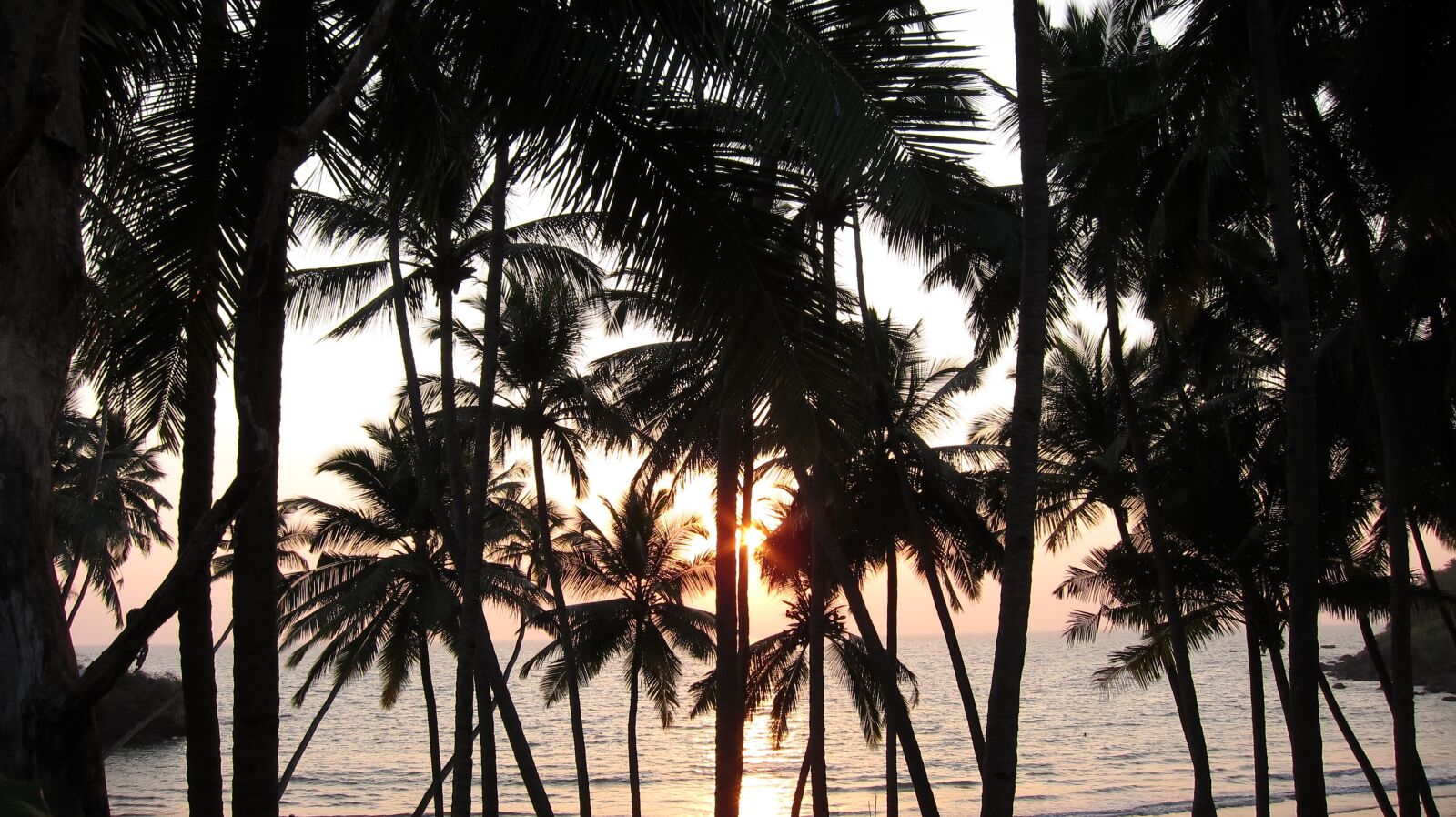 Canon PowerShot S95 sample photo. Sunset, palm trees, beach photography