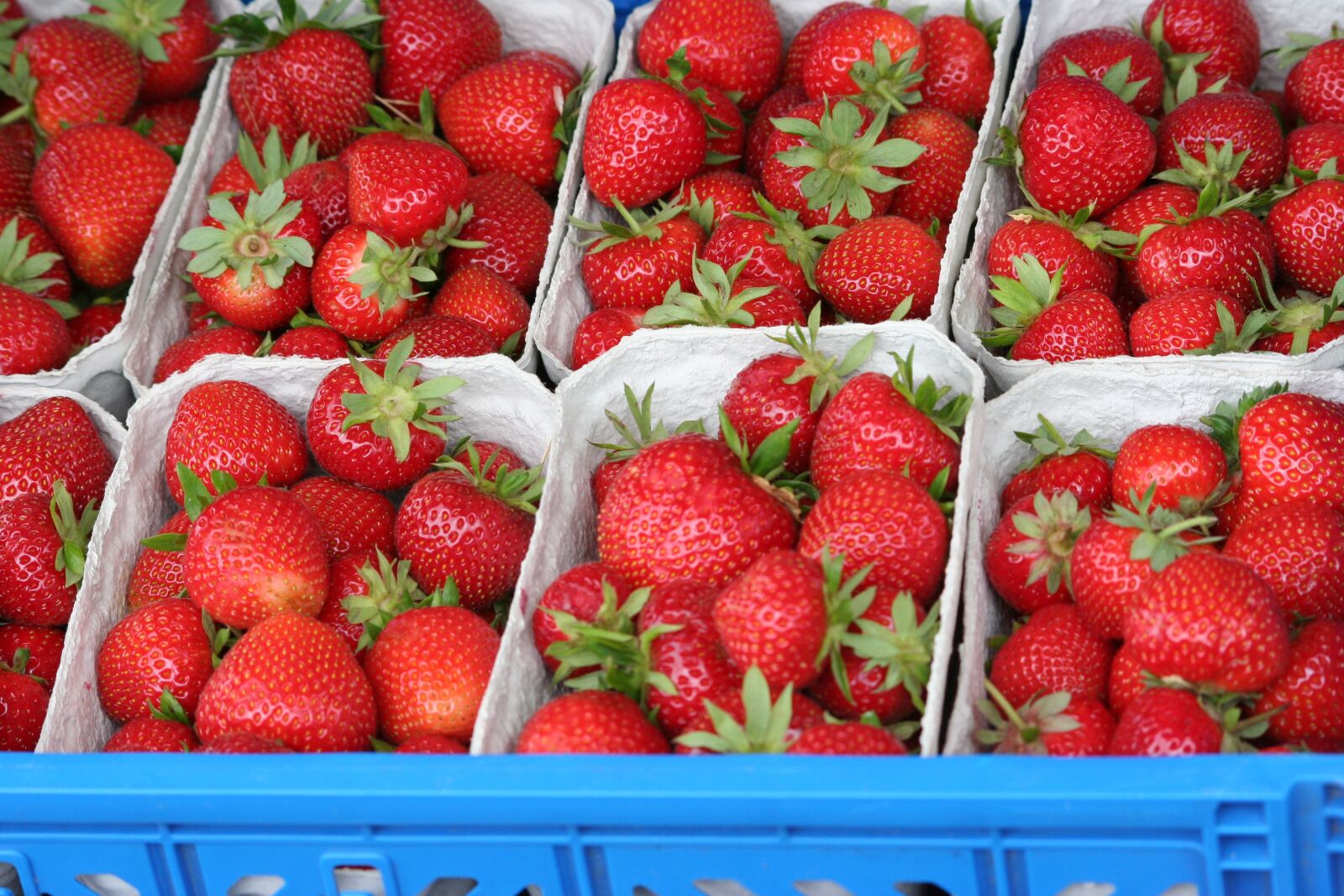 Canon EOS 350D (EOS Digital Rebel XT / EOS Kiss Digital N) sample photo. Strawberries, fruit, fresh photography