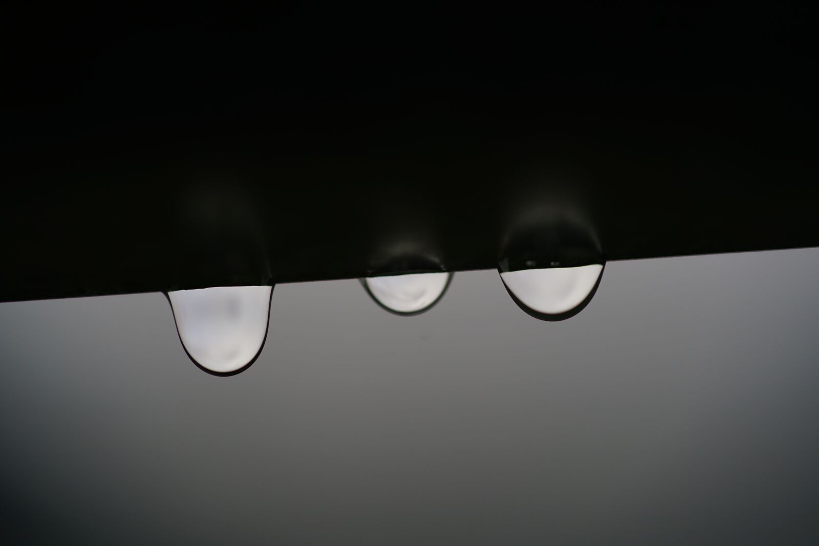 Sony FE 90mm F2.8 Macro G OSS sample photo. Drip, raindrop, water photography
