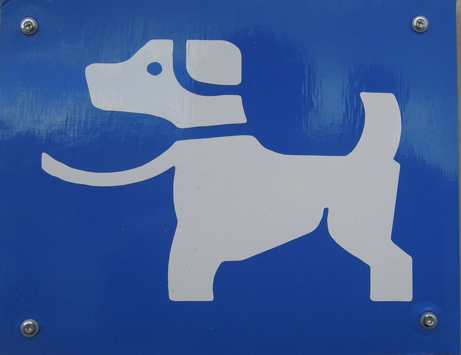 Nikon Coolpix P300 sample photo. Sign, dog, character photography