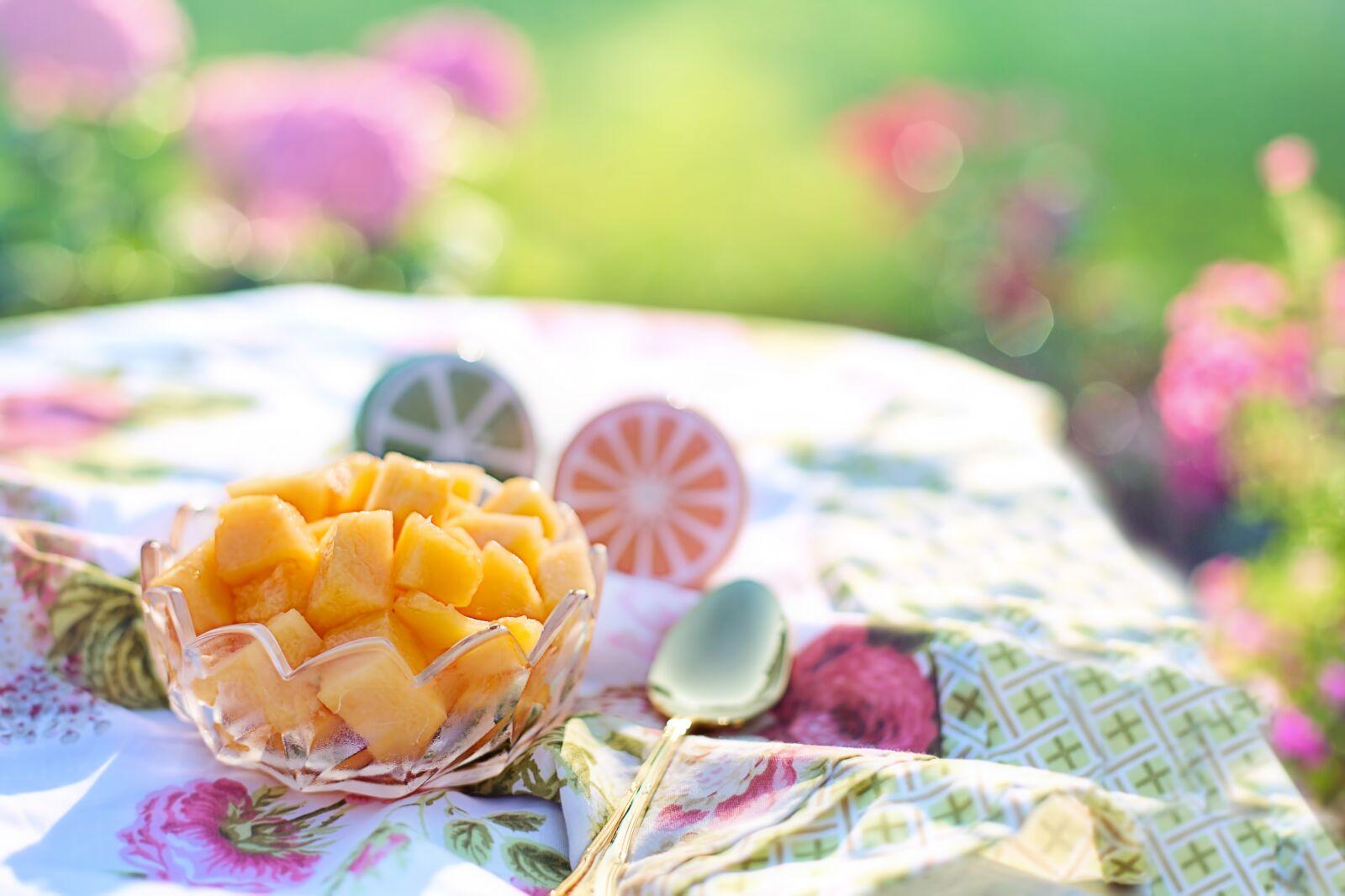 Canon EF 50mm F1.4 USM sample photo. Cantaloupe, summer, nutrition photography