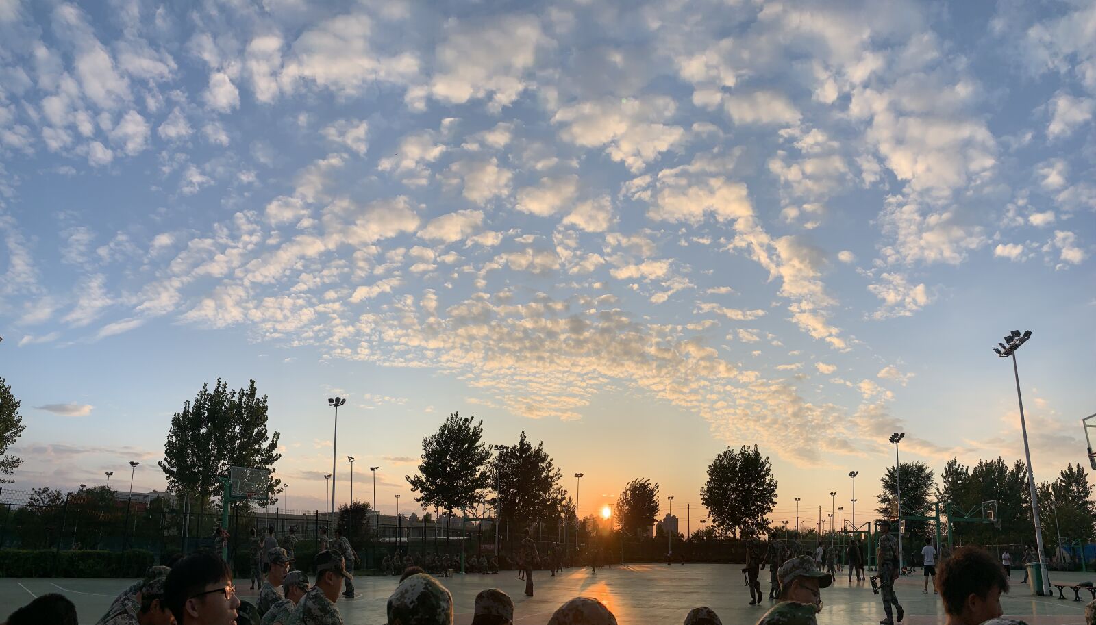 Apple iPhone XR sample photo. Sky, tree, nature photography