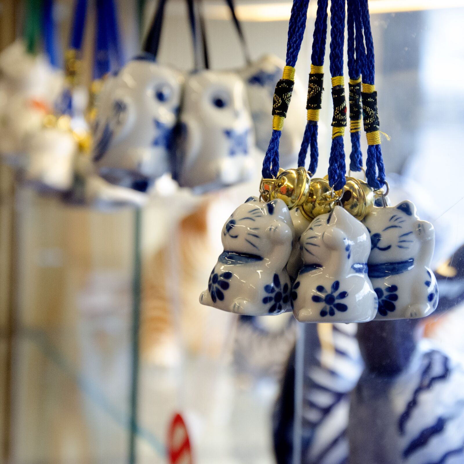 Nikon D5100 sample photo. Cat, decoration, gift photography