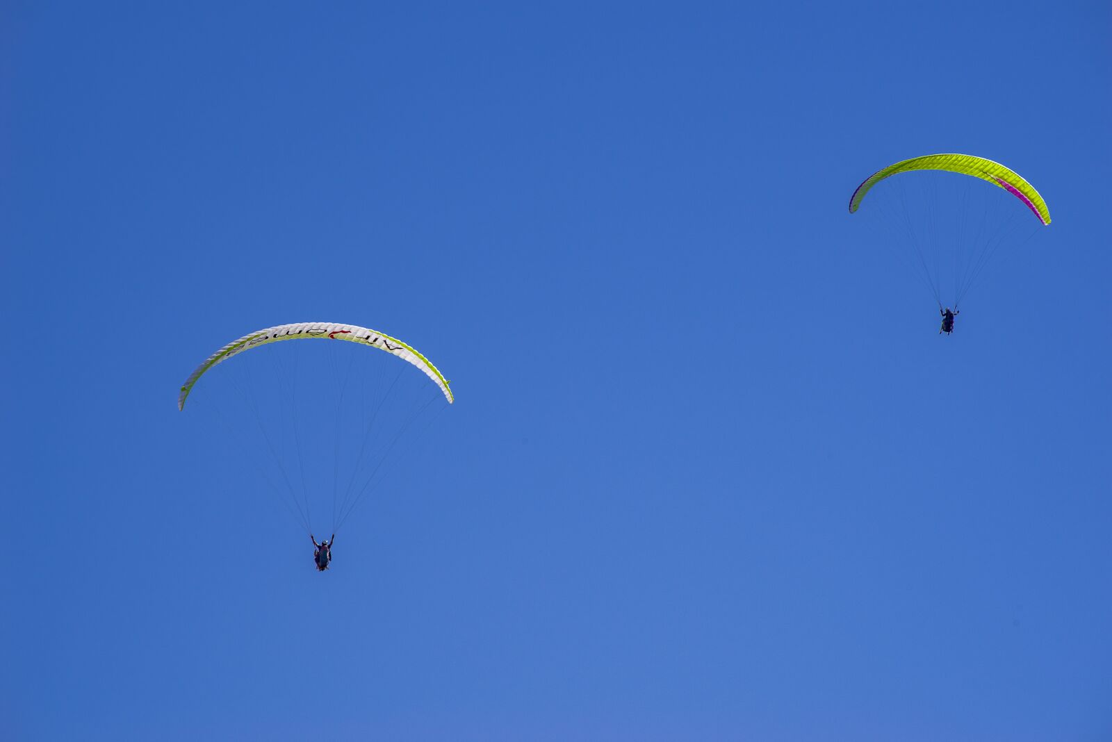 Pentax K-1 Mark II + Sigma sample photo. Paragliding, glider, paraglide photography