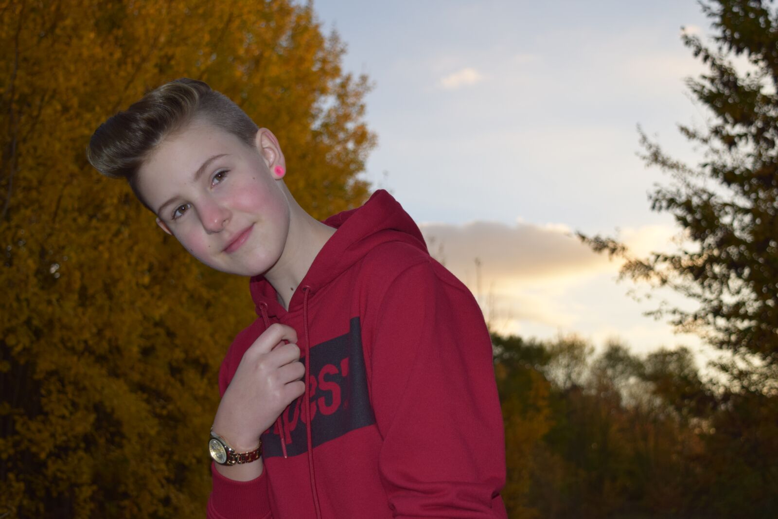 Nikon D3300 sample photo. Autumn, leaves, leaves in photography