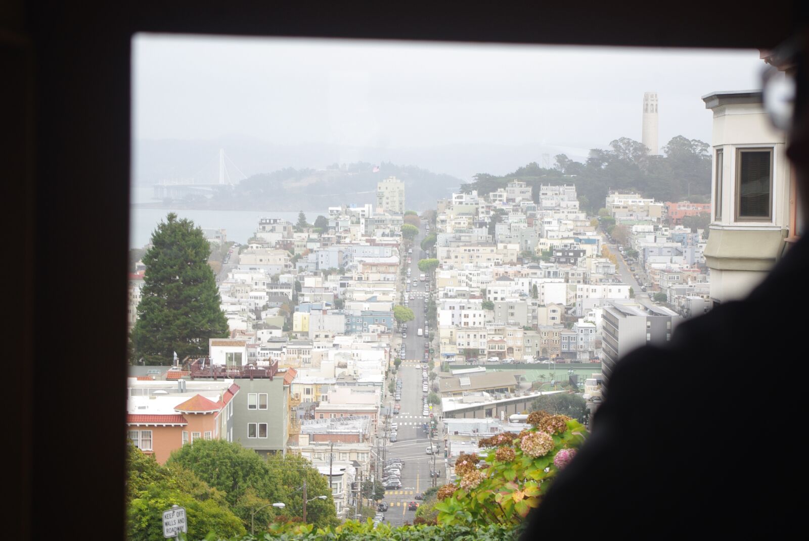 Pentax K200D sample photo. San francisco, hills, misty photography