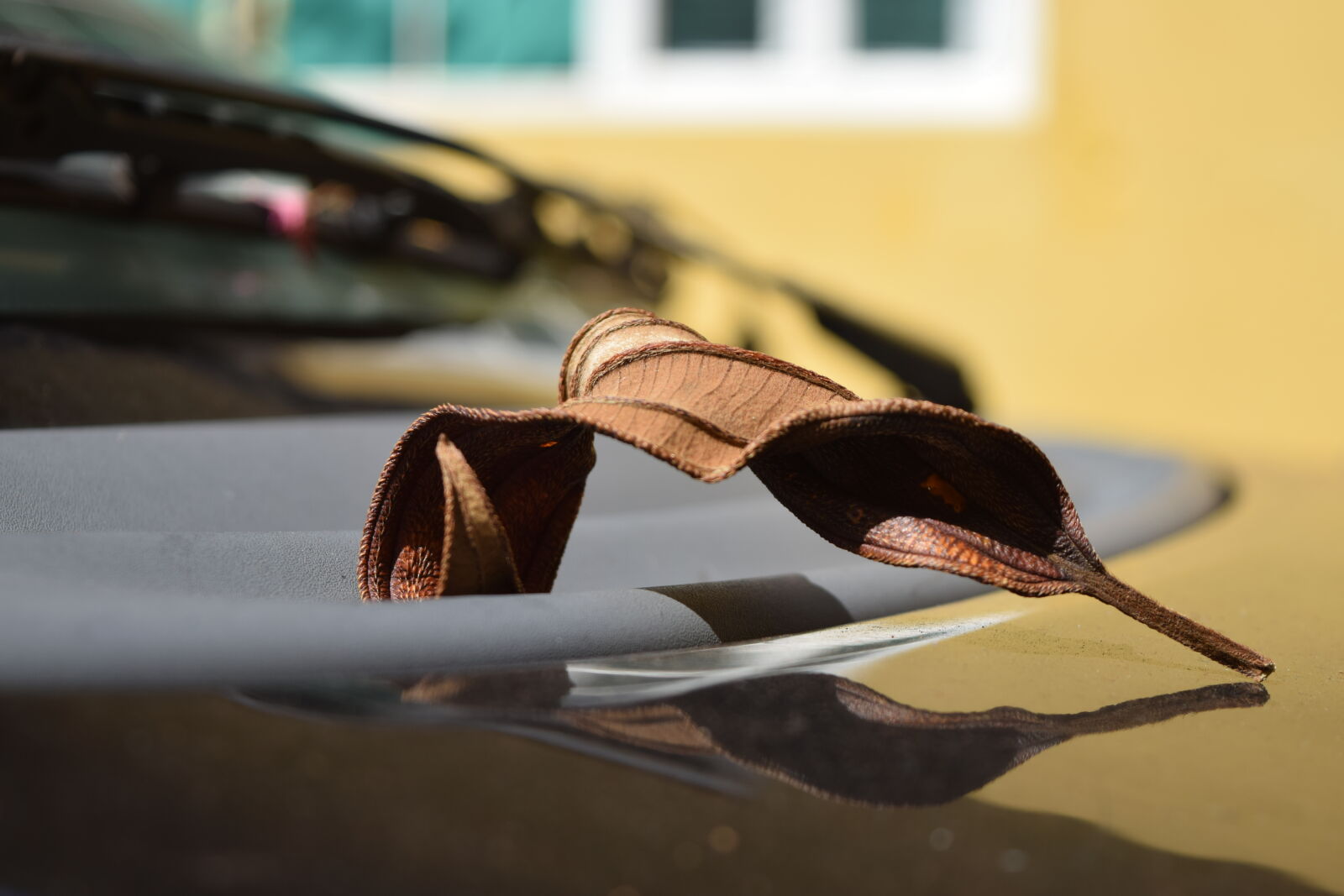 Nikon D3300 sample photo