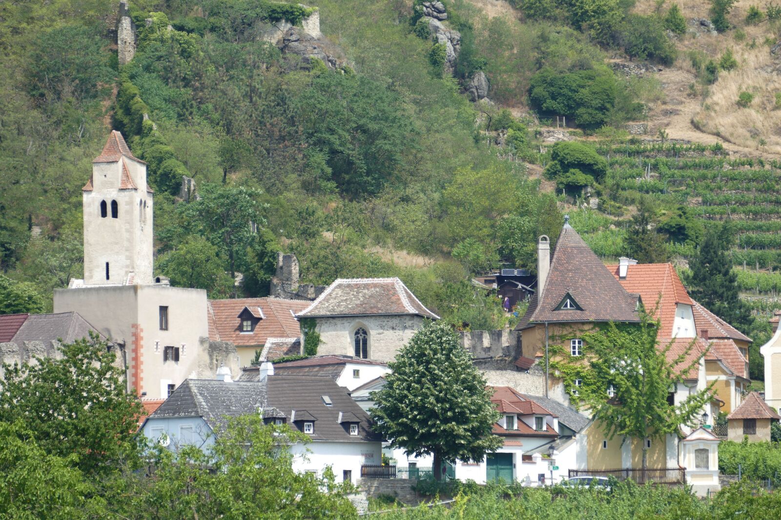 Panasonic Lumix DMC-FZ1000 sample photo. Wachau, austria, lower austria photography